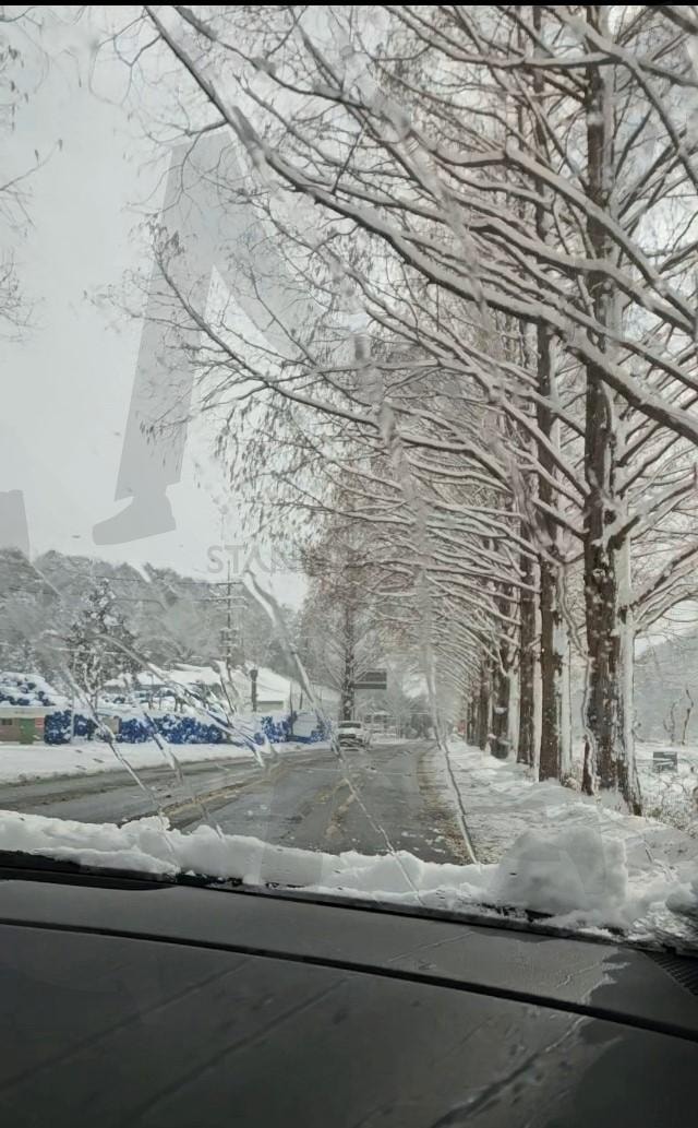 담양 메타세콰이어길 | 드라이브, 담양, 눈, 가로수, 힐링, 조수석, 눈덮힌 | 스탠바이 STANDBUY 디지털 콘텐츠