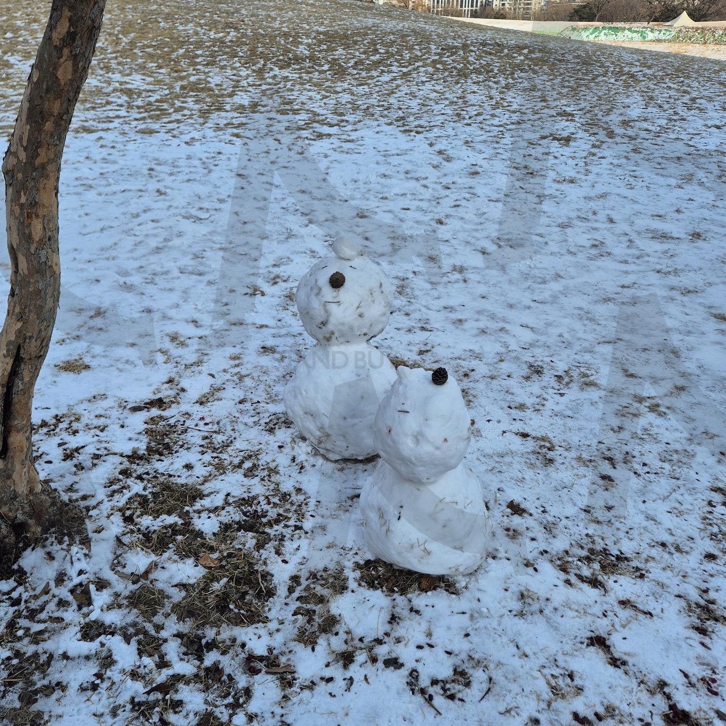 눈오는날 올림픽공원 | 올림픽공원, 겨울, 눈오는날, 눈사람, 눈 | 스탠바이 STANDBUY 디지털 콘텐츠