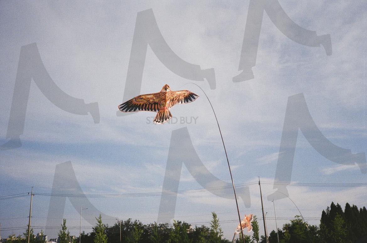 독수리 허수아비 | 독수리, 필카, 풍경, 허수아비, 시골, 독수리연, 새 | 스탠바이 STANDBUY 디지털 콘텐츠