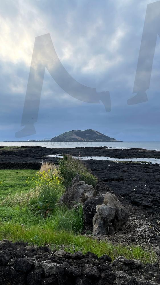 제주 함덕해수욕장 | 제주도, 협재해수욕장, 제주도 봄, 해수욕장, jeju, jeju island, korea | 스탠바이 STANDBUY 디지털 콘텐츠