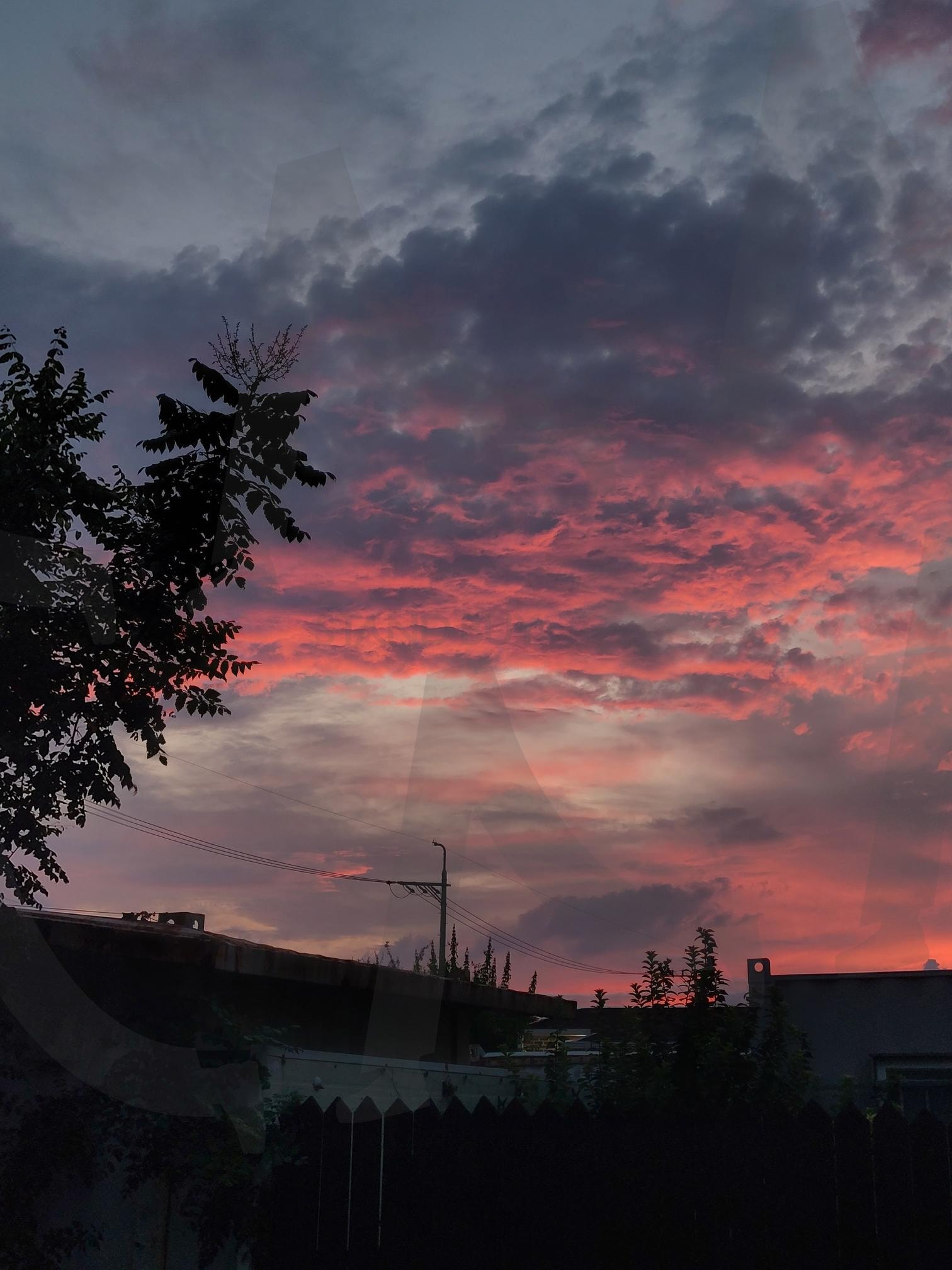 19:35 | relax, nature, pink, 휴식, summer, 2024, 0808, traveling, nightscape, 야경 | 스탠바이 STANDBUY 디지털 콘텐츠