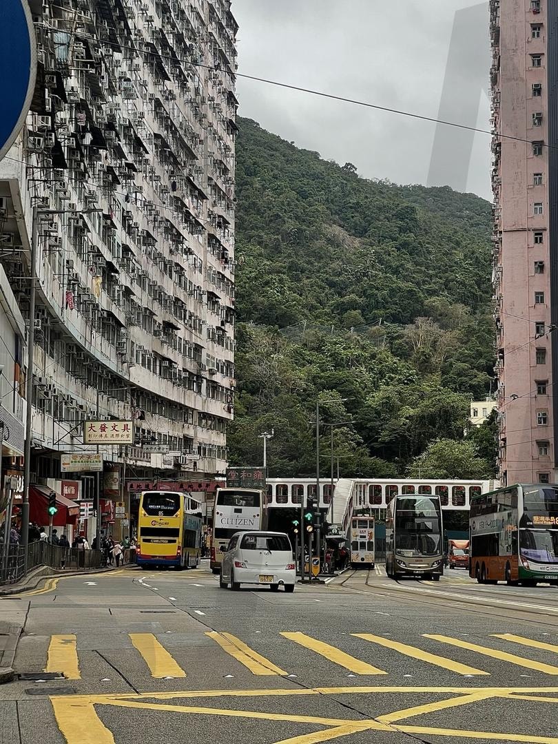 홍콩 익청빌딩으로 앞 도로 | 아이폰, 홍콩, 익청빌딩, 도로, 숲, 건물, 빈티지 | 스탠바이 STANDBUY 디지털 콘텐츠