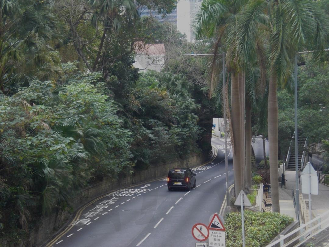 홍콩섬의 가운데 도로 | 홍콩, 홍콩섬, 도로, 자동차, 숲, 빈티지 | 스탠바이 STANDBUY 디지털 콘텐츠