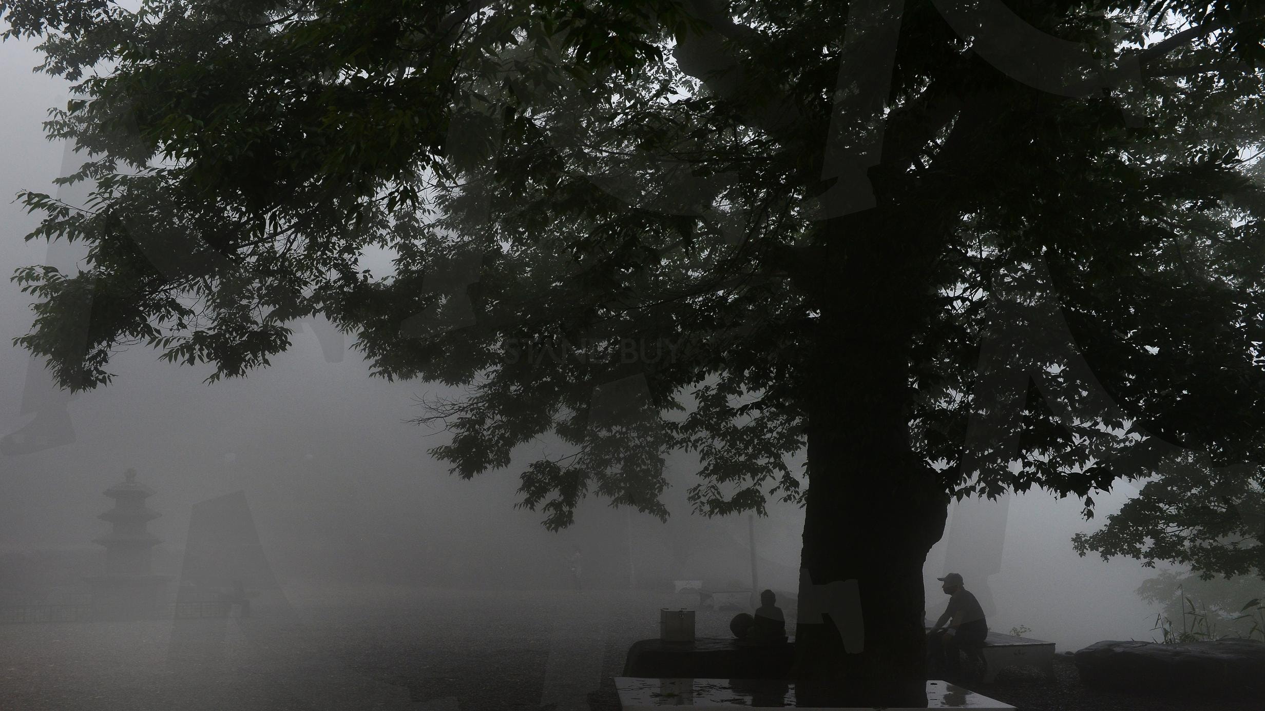 비온는날 풍경 | 비, 안개, 혼자여행, 쉼, 나무, 만어사, 절풍경, 경남, 휠링 | 스탠바이 STANDBUY 디지털 콘텐츠