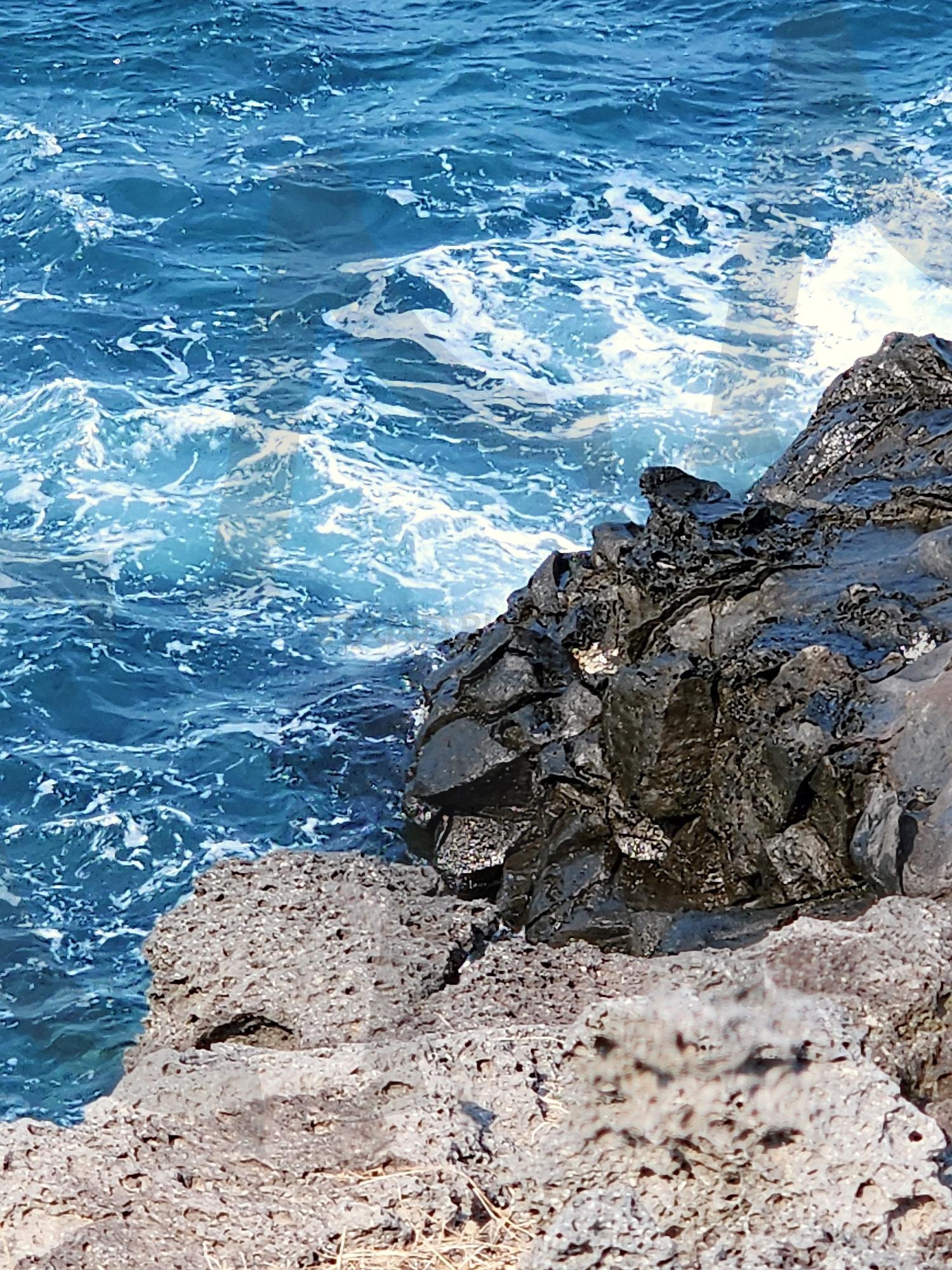 제주의 바다와 주상절리 | 주상절리, 바다, 제주도, 화산섬, 화산, 화산활동, 여행, 바닷가 | 스탠바이 STANDBUY 디지털 콘텐츠