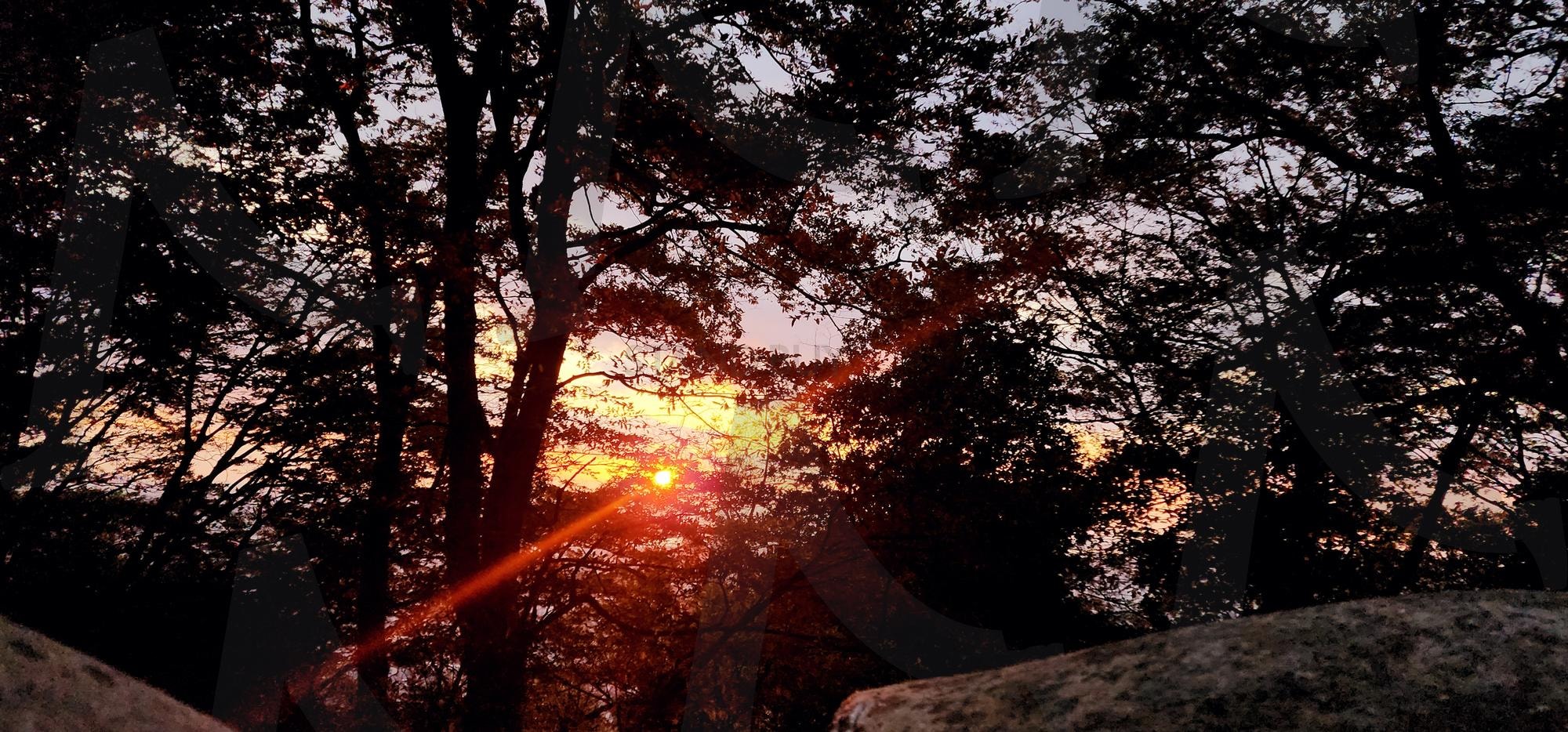 Mountain sunset | sunset, sun, mountain, tree, Namsan, autumn, 태양, red, 남산정상, 석양 | 스탠바이 STANDBUY 디지털 콘텐츠