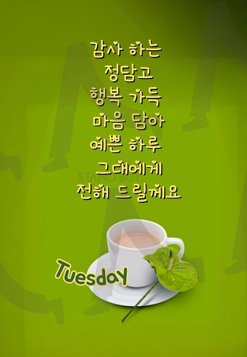 안부 전하기 | 안부, 소식, 봄, 인사, good day, 감사 | 스탠바이 STANDBUY 디지털 콘텐츠