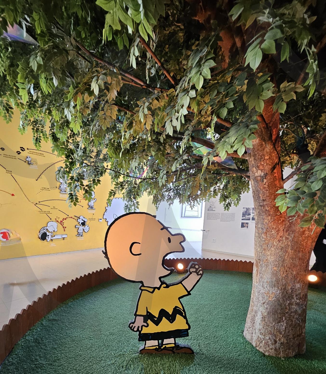 제주 조천읍 스누피가든 | 스누피가든, 제주도, 구좌읍, 관람, 체험, 기념품, 강추 | 스탠바이 STANDBUY 디지털 콘텐츠