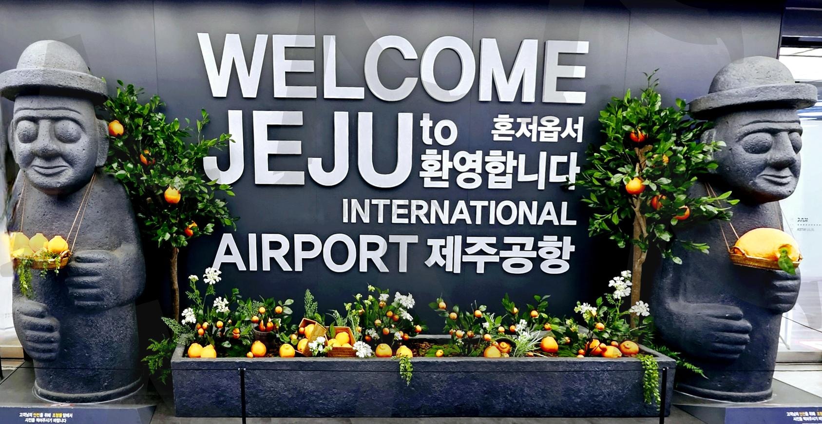 제주공항 | 제주공항, 포토존, 하르방, 코만지기, 한라봉, 감귤, 사진찍기 | 스탠바이 STANDBUY 디지털 콘텐츠