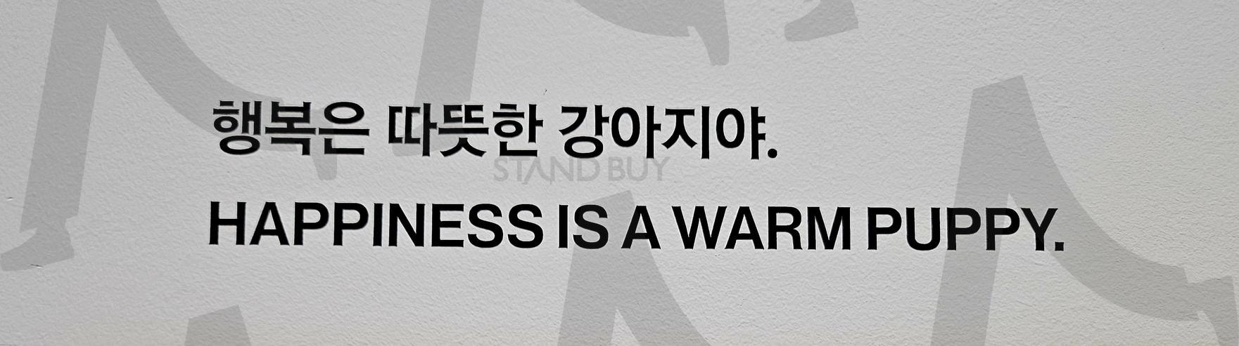 제주 스누피가든 | 행복, 강아지, 제주도, 스누피가든, 따뜻해, 책읽는 것 같은 | 스탠바이 STANDBUY 디지털 콘텐츠