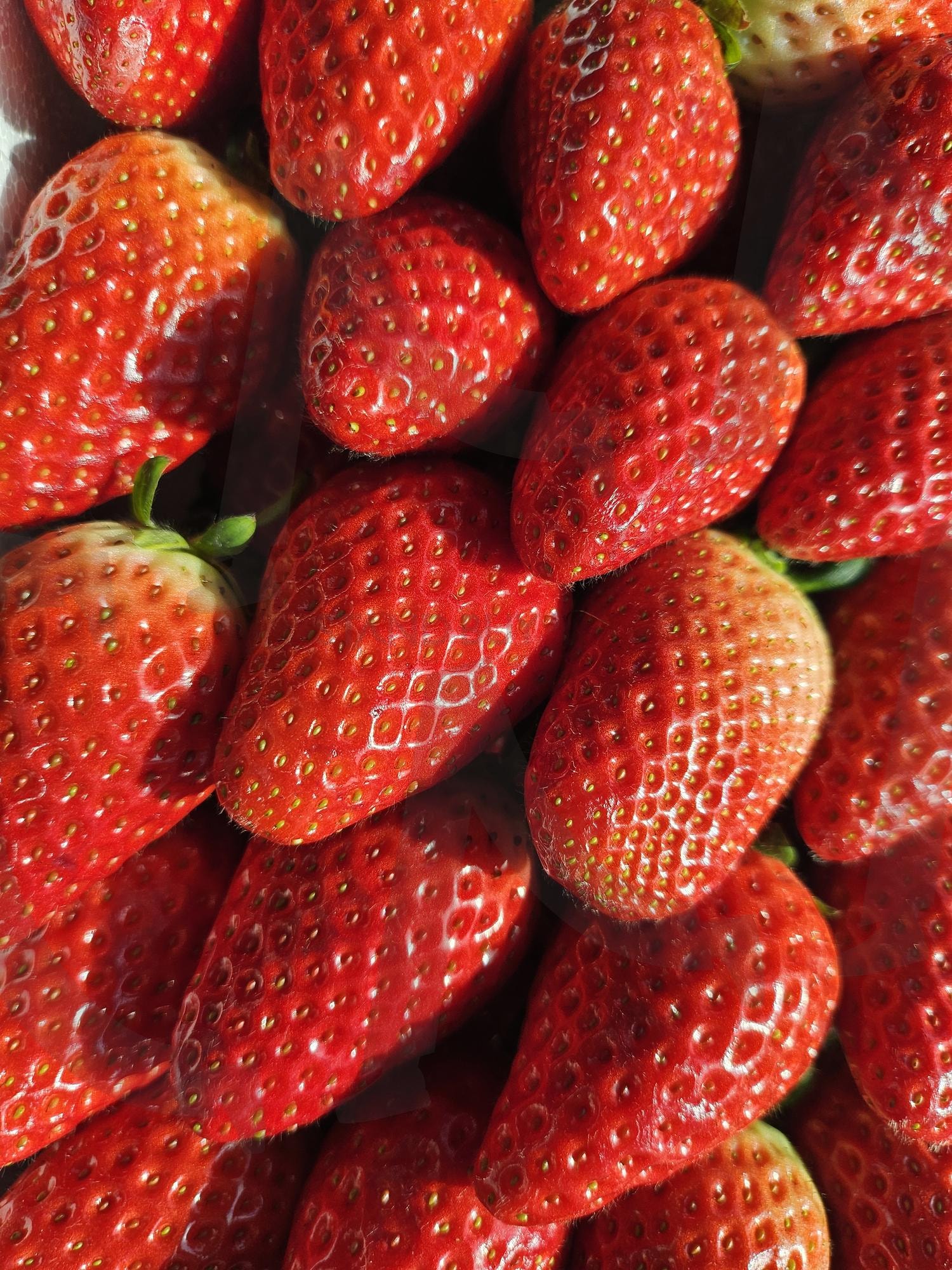 새콜달콤한 딸기 | 딸기, 새콤달콤, 빨강색, 과일, 다이어트, 맛 | 스탠바이 STANDBUY 디지털 콘텐츠