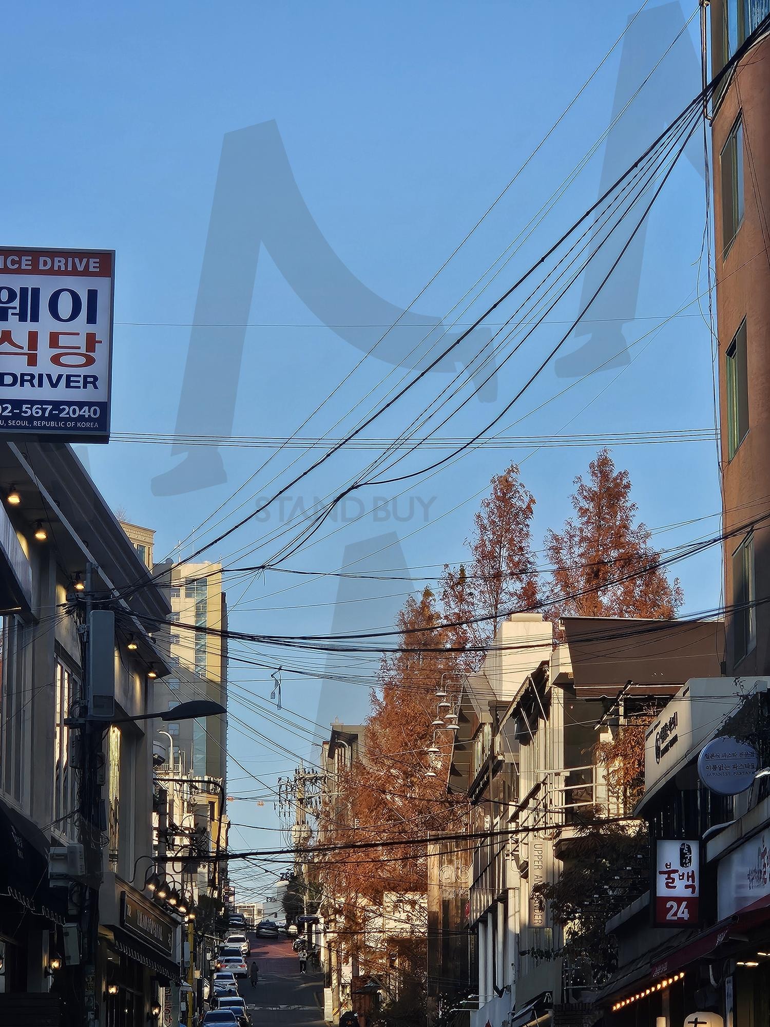 서울 강남 어느 골목(외국인이 좋아할 감성?) | 강남, 서울, 골목, 옛날감성, 거리, 가을, 한국, 도시, 먹자골목, 한글, 간판 | 스탠바이 STANDBUY 디지털 콘텐츠