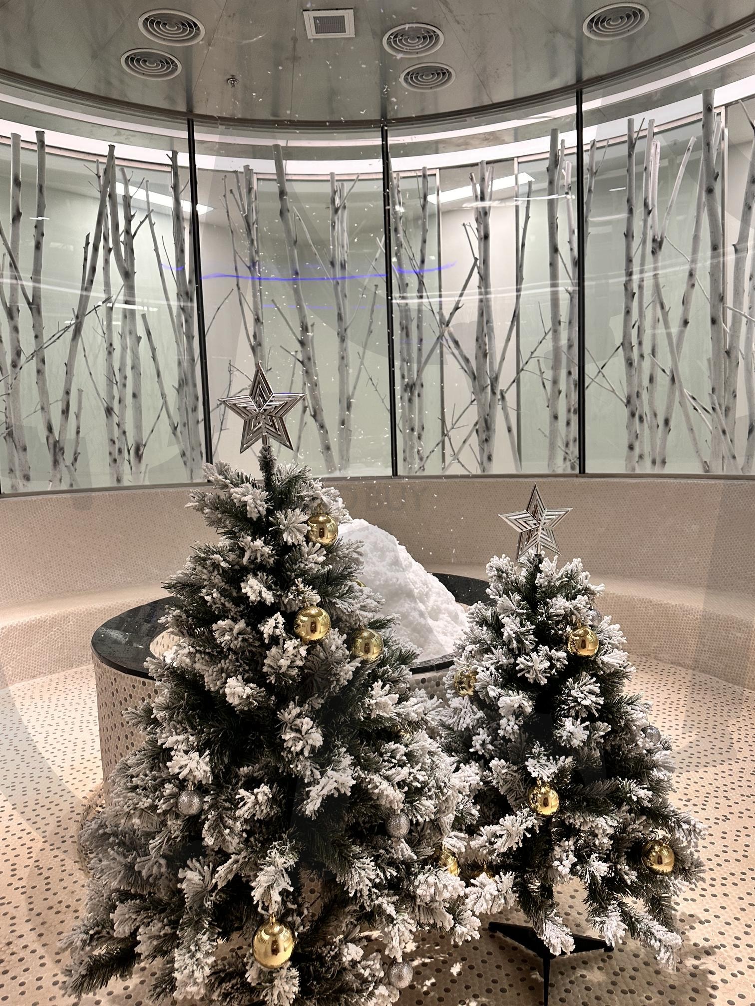 베트남 찜질방 | 찜질방, 베트남, 냐짱, 크리스마스 트리, 겨울 | 스탠바이 STANDBUY 디지털 콘텐츠