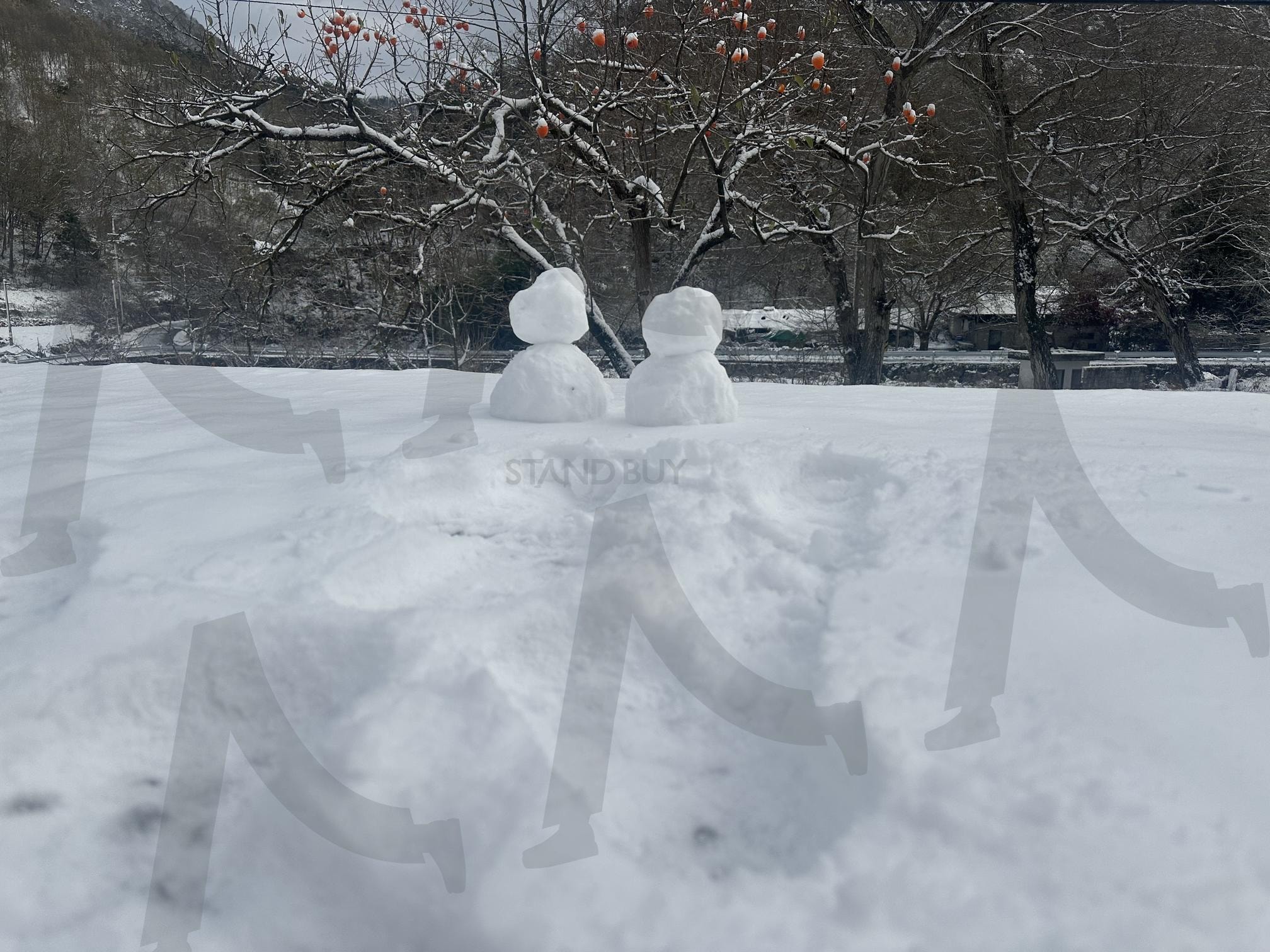 겨울눈사람 | 눈사람, 겨울, 배경 감나무, 눈, 추운겨울 | 스탠바이 STANDBUY 디지털 콘텐츠
