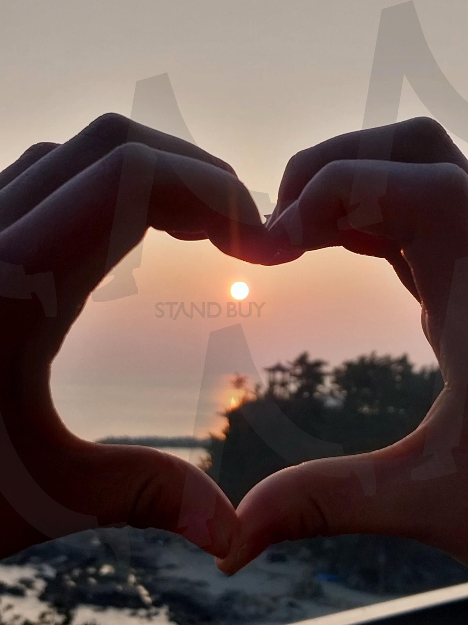 첫 해 | 해, 바다, 강원도, 첫해, 새해 | 스탠바이 STANDBUY 디지털 콘텐츠