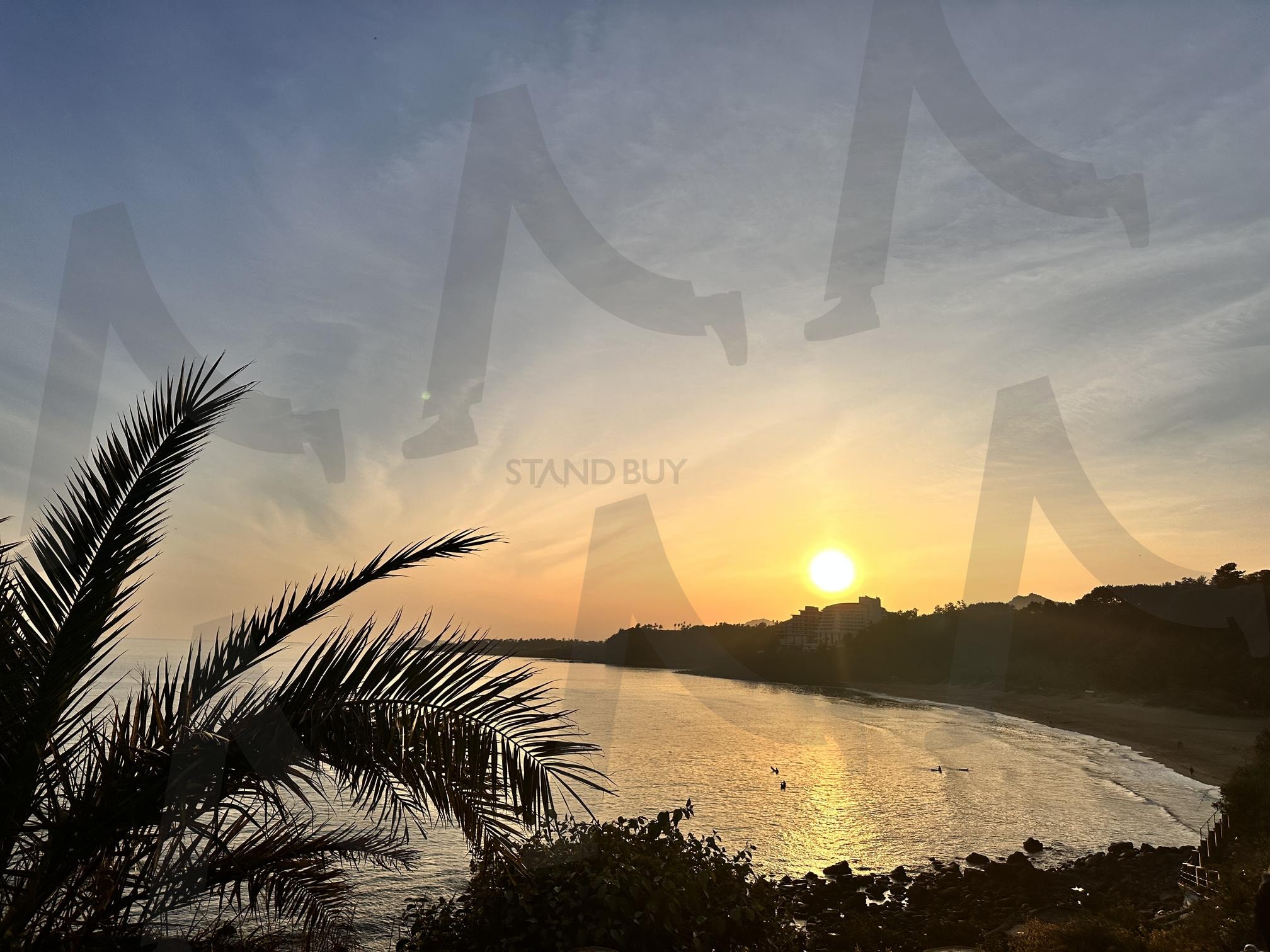 제주도 앞바다 | 야자수, 앞바다, 섬, 해, 하늘, 자연환경 | 스탠바이 STANDBUY 디지털 콘텐츠