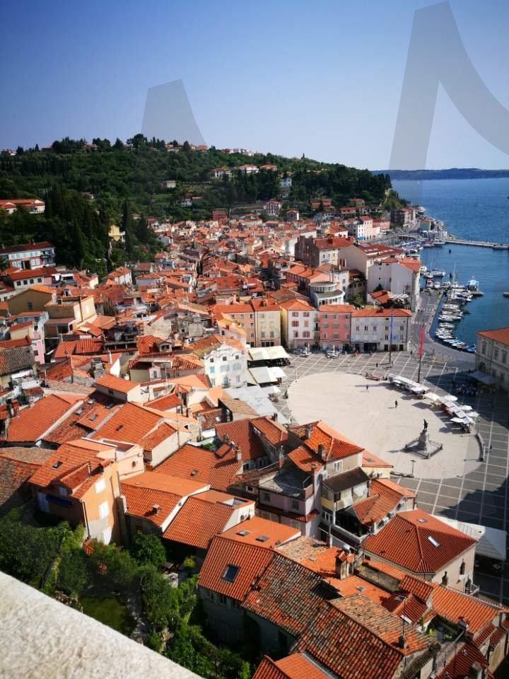 아드리아해의 보석, 피란의 전경 | 슬로베니아, 피란, 타르티니 광장, 아드리아해, 중세 도시, 불은 지붕 마을, 해안 도시, 유럽 소도시, 항구와 광장, 역사적인 건축물 | 스탠바이 STANDBUY 디지털 콘텐츠