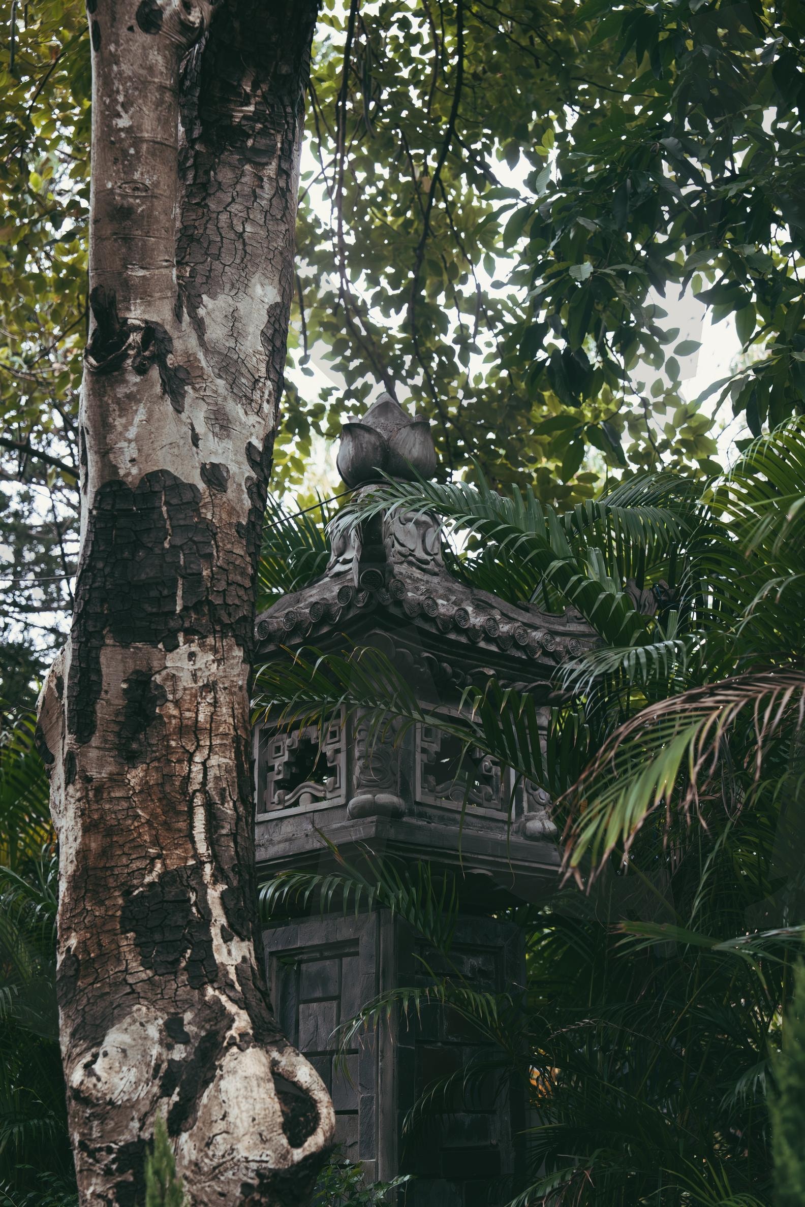 베트남 나트랑(냐짱) 롱선사 | 성지, 롱선사, 베트남, 냐짱, 베트남 여행, 나무, 사원, 여행, 고화질 사진 | 스탠바이 STANDBUY 디지털 콘텐츠