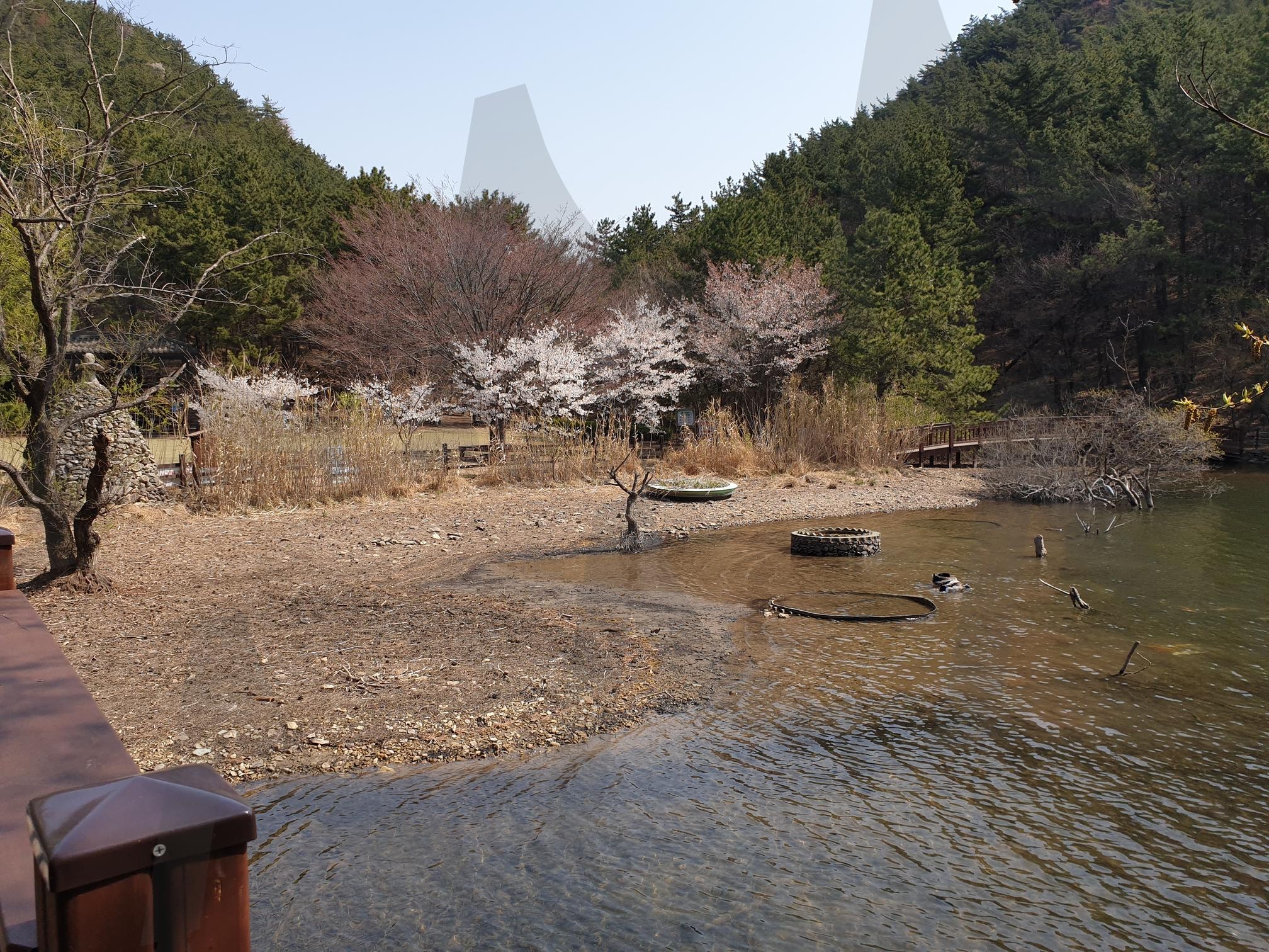 봉암수원지 | 봉암수원지, 벚꽃, 저수지, 대한민국, 창원 | 스탠바이 STANDBUY 디지털 콘텐츠