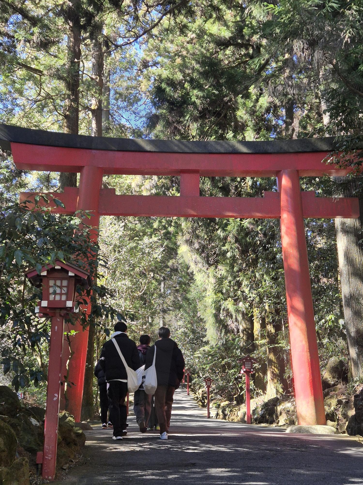 추억 여행 | 청춘, 낭만, 감성샷, 오오토리이, 신사, 숲, 여행 | 스탠바이 STANDBUY 디지털 콘텐츠