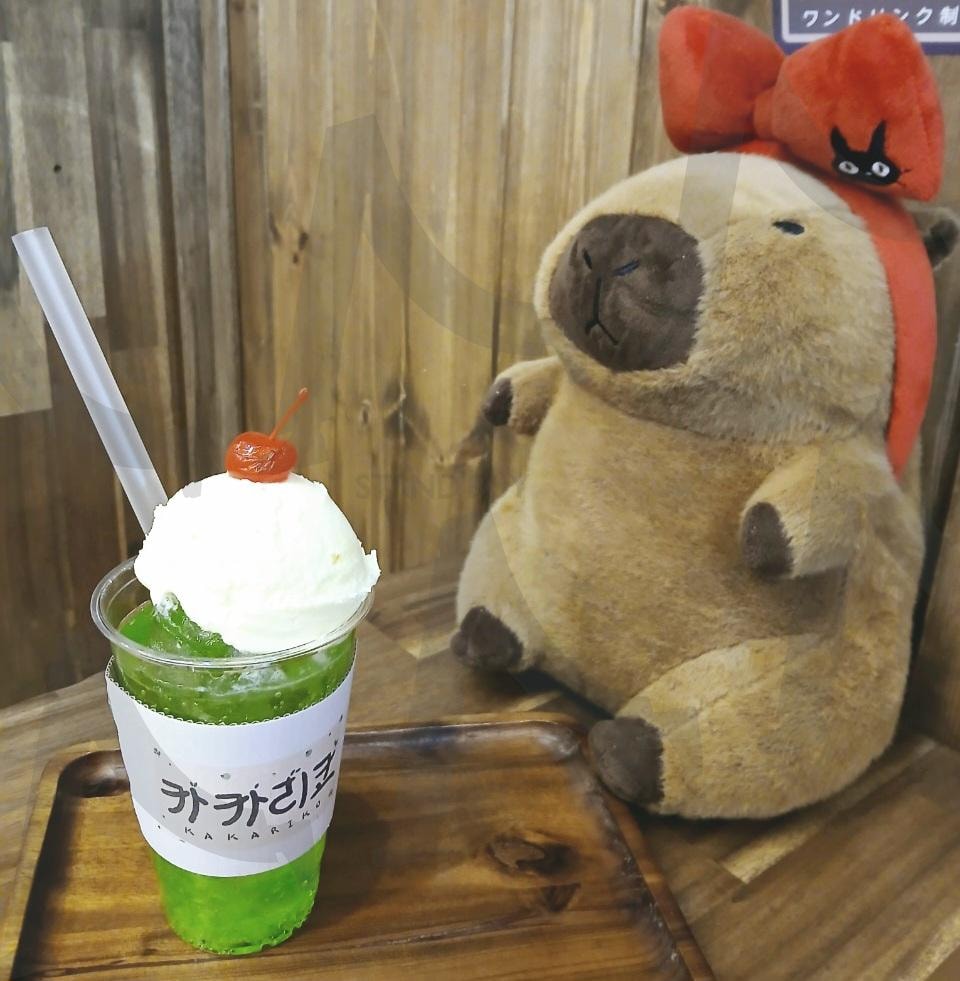 카피바라와 메론소다🍒 | 카페, 카피바라, 체리, 메론소다, 브라운 | 스탠바이 STANDBUY 디지털 콘텐츠