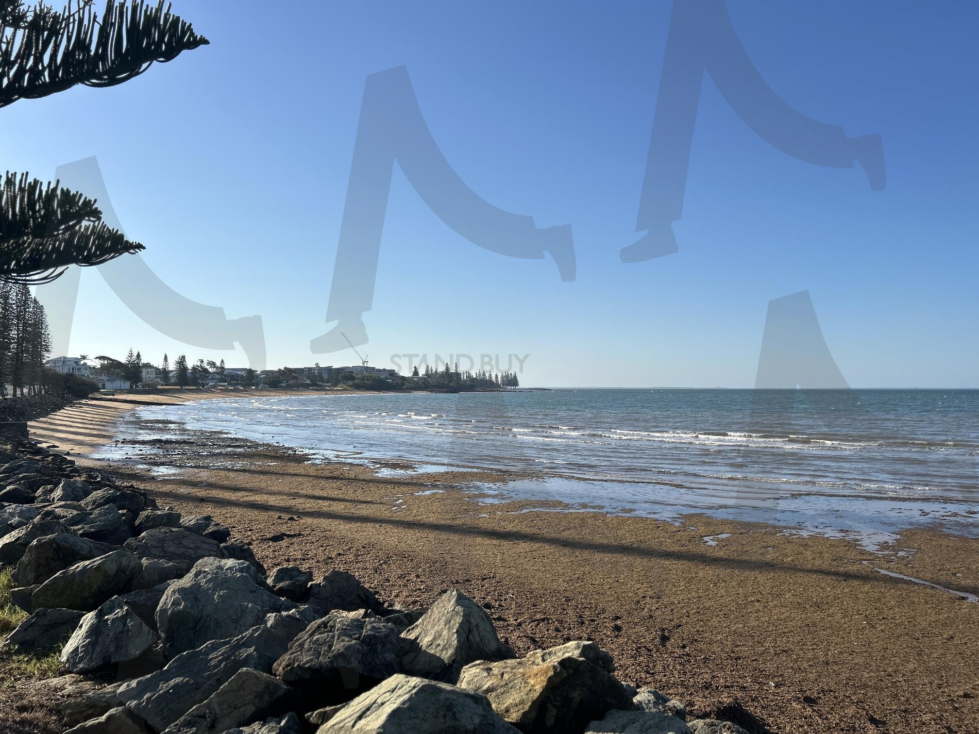 호주 브리즈번 바다 | 호주, 브리즈번, 바다, 풍경, 윤슬, 나무, 해변, 모래사장 | 스탠바이 STANDBUY 디지털 콘텐츠