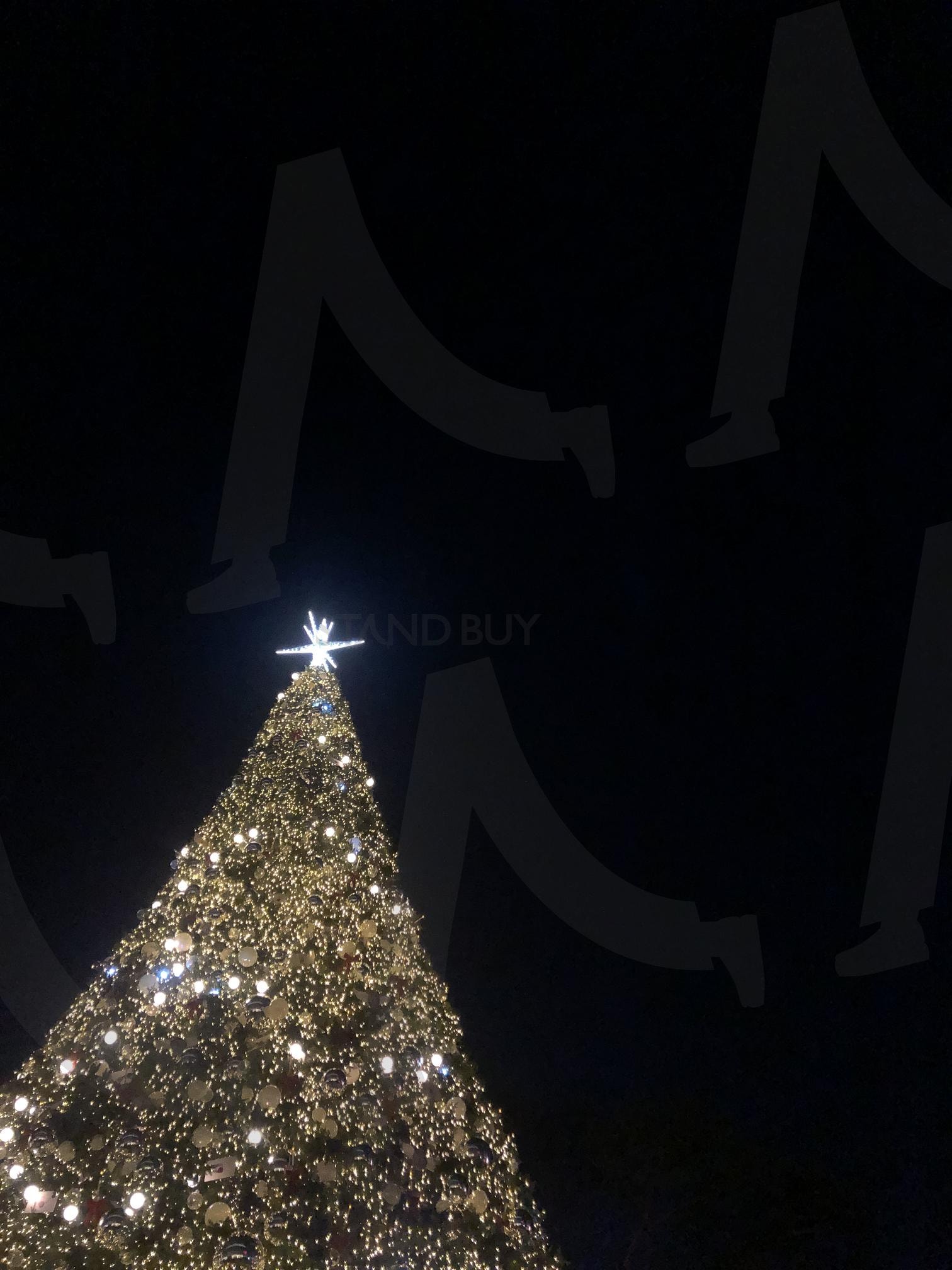 크리스마스 밤 트리 | 크리스마스, 겨울, 트리, 크리스마스트리, 배경화면, 밤, 배경화면사진 | 스탠바이 STANDBUY 디지털 콘텐츠