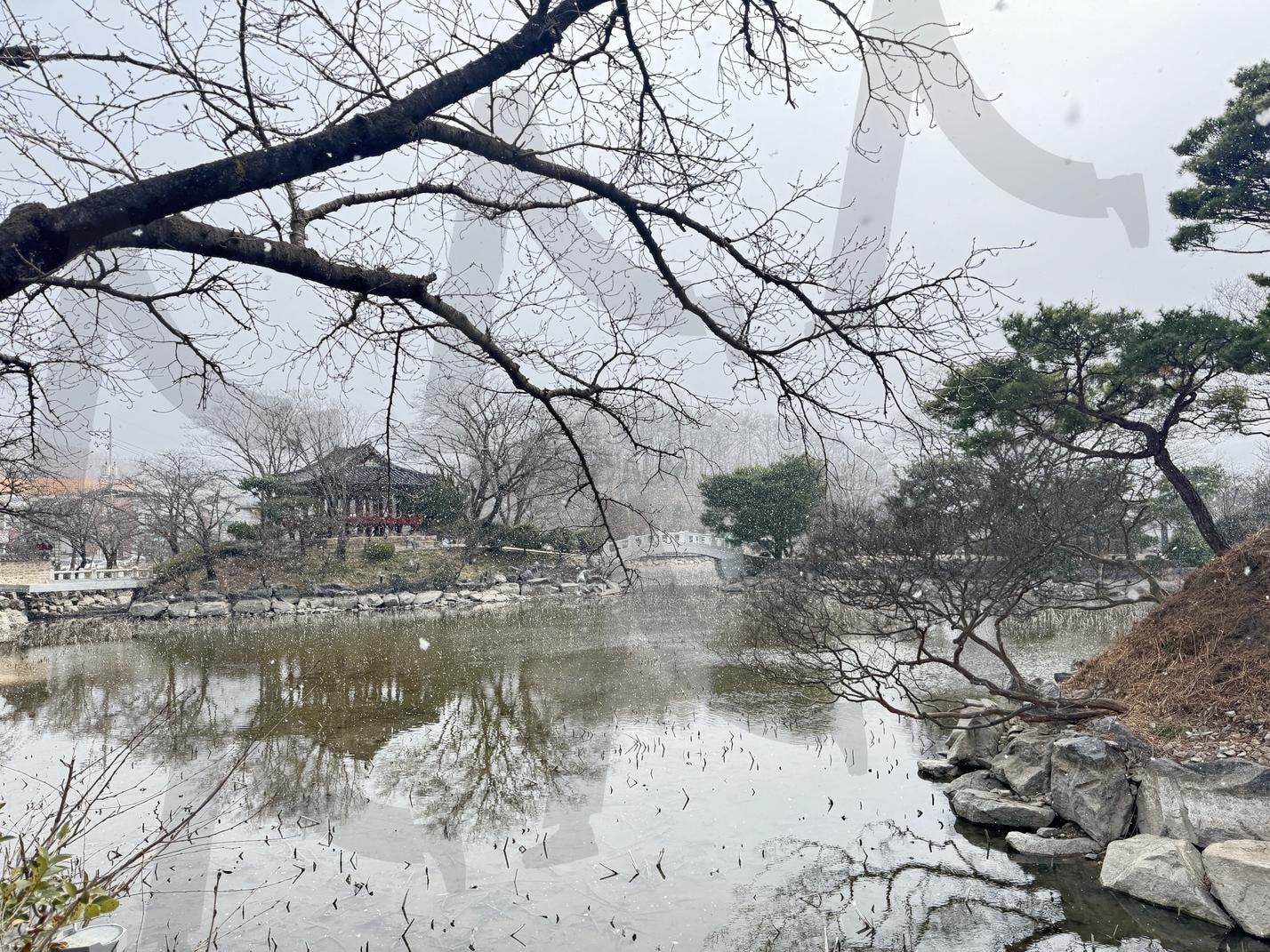 연회지 | 연회지, 김천, 눈, 연못, 관광지, 풍경 | 스탠바이 STANDBUY 디지털 콘텐츠