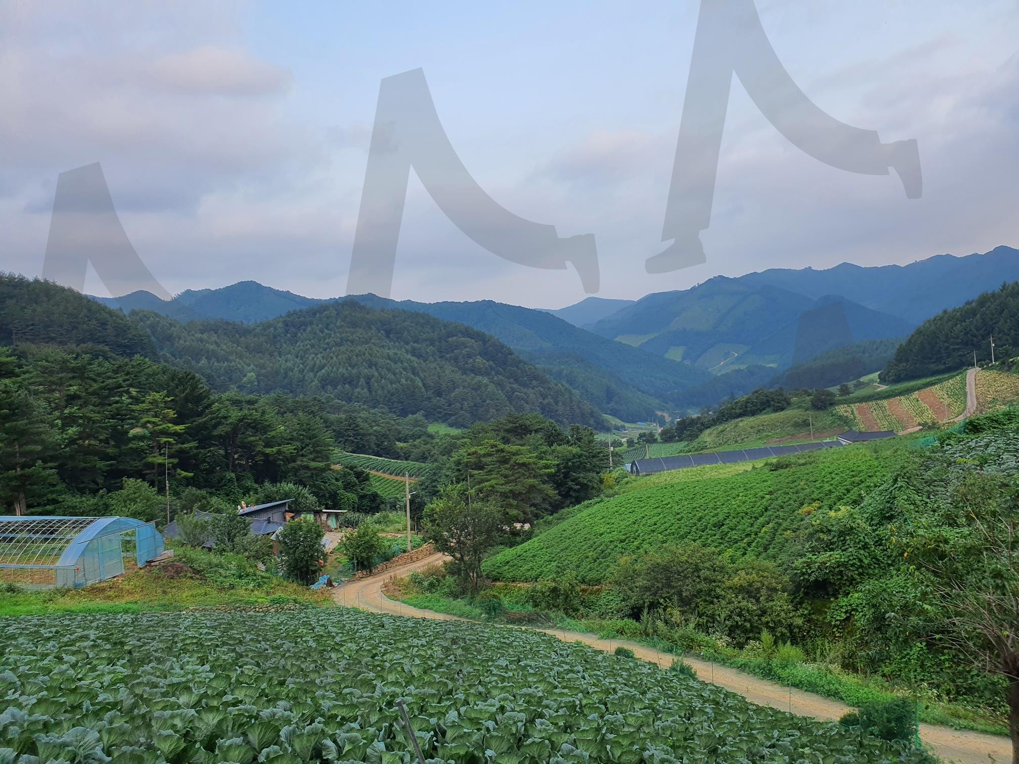 고향길 | 고향, 길, 고향길, 전망, 고향풍경, 풍경 | 스탠바이 STANDBUY 디지털 콘텐츠