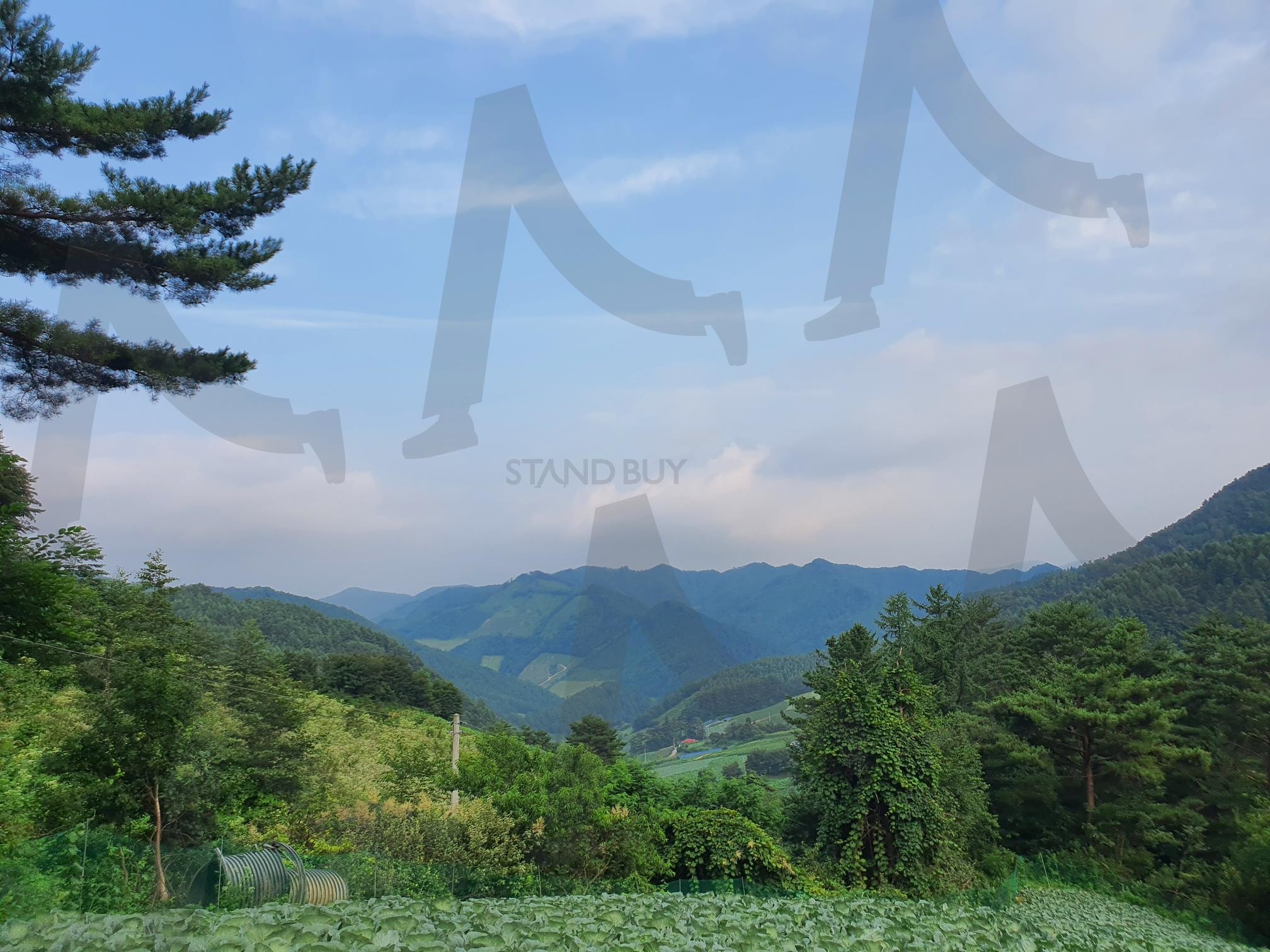 고향풍경 | 고향, 풍경, 뒷산, 고향풍경, 전망, 숲 | 스탠바이 STANDBUY 디지털 콘텐츠