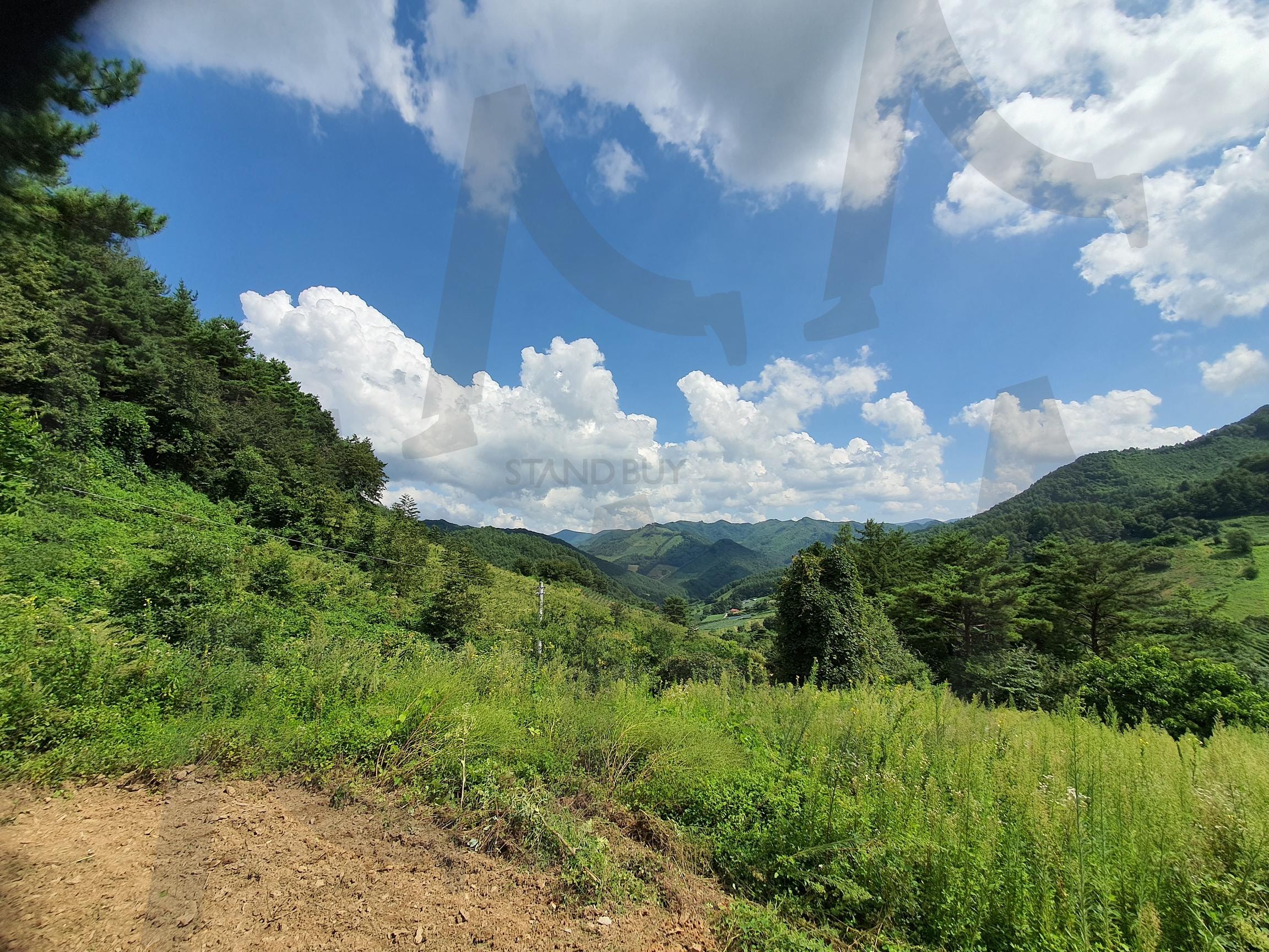 고향길 | 고향, 고향길, 전망, 풍경, 고향풍경 | 스탠바이 STANDBUY 디지털 콘텐츠