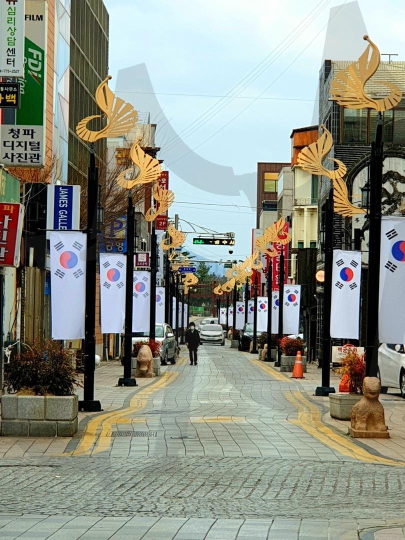 경주 시내 | 시내거리, 경주, 가로수, 스트리트, 신라 | 스탠바이 STANDBUY 디지털 콘텐츠