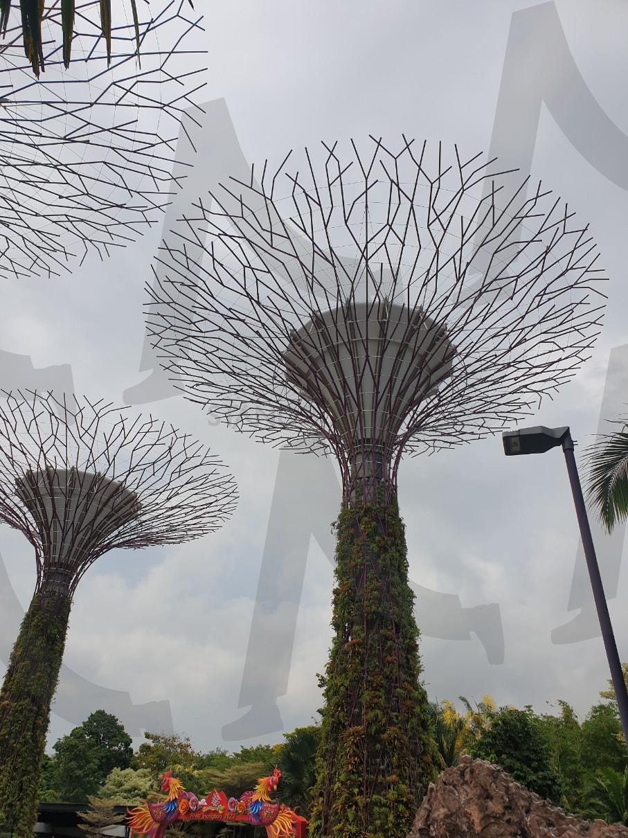 싱가포르 여행 | 식물원, 여행, 구조물, 싱가포르, 신기한 | 스탠바이 STANDBUY 디지털 콘텐츠