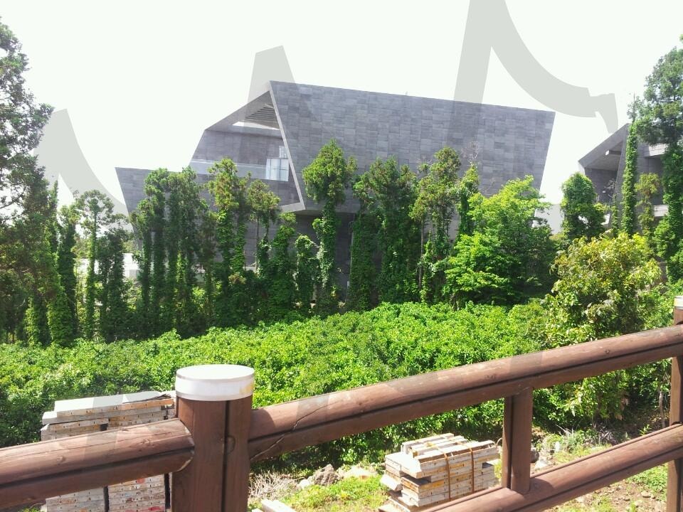 멋진 새집 | 산책로, 새집, 제주, 정원, 녹색, 여행 | 스탠바이 STANDBUY 디지털 콘텐츠