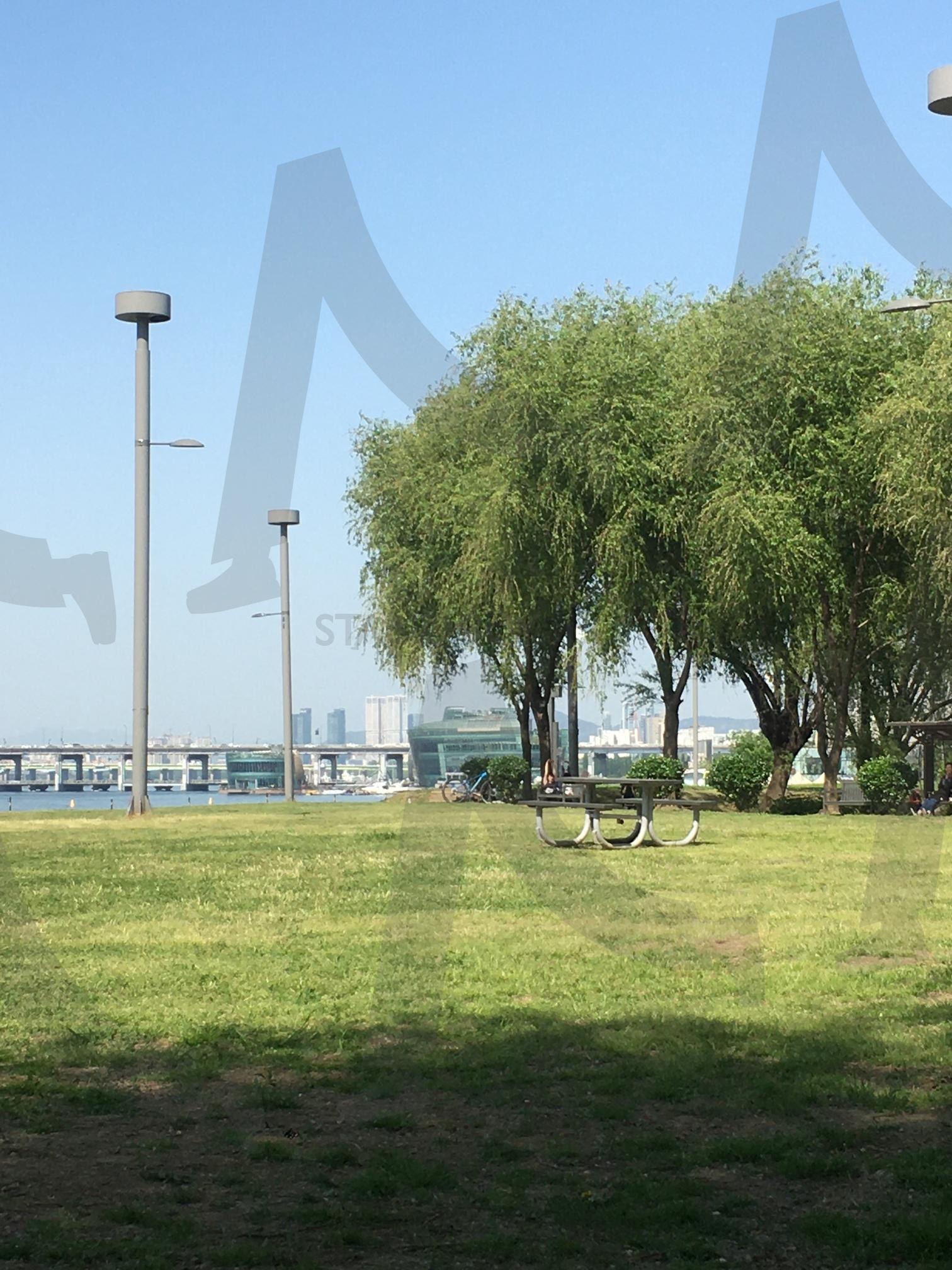 한강 공원 | 공원, 한강, 한강고원, 여름, 소풍, 나들이, park, 여름 나들이, 서울 한강 | 스탠바이 STANDBUY 디지털 콘텐츠