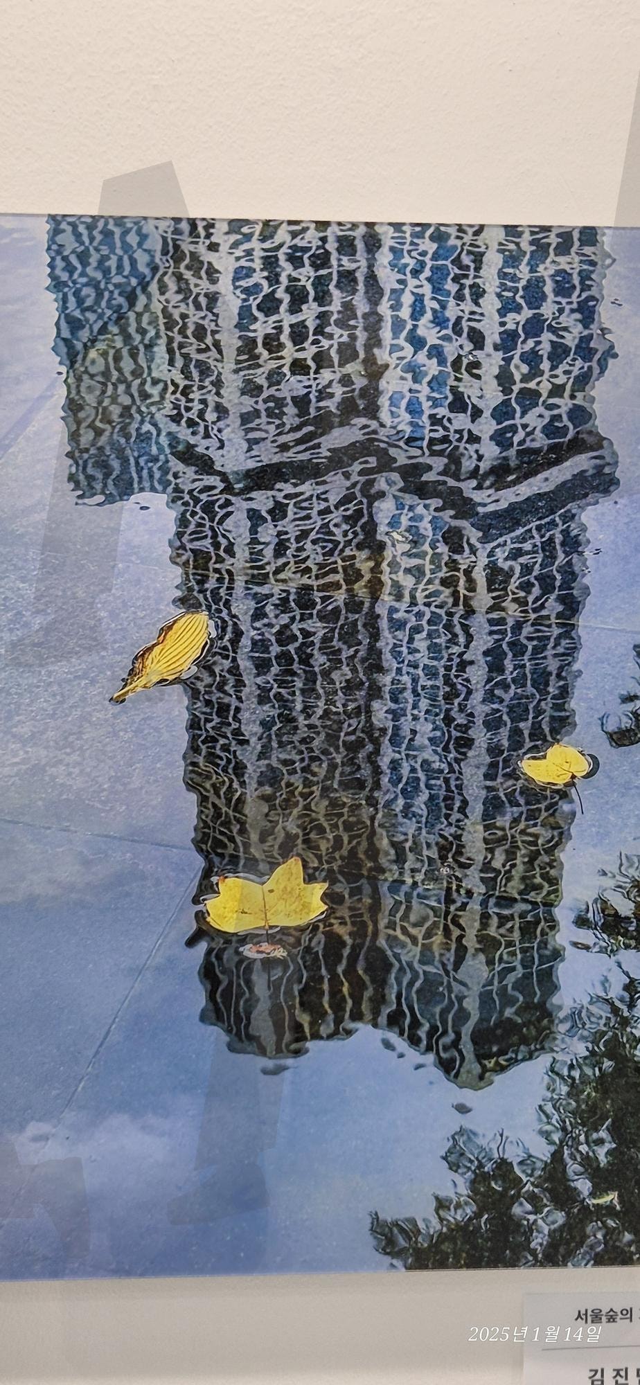 거꾸로 건물 | 건물, 물, 나뭇잎, 나무, 거꾸로 | 스탠바이 STANDBUY 디지털 콘텐츠