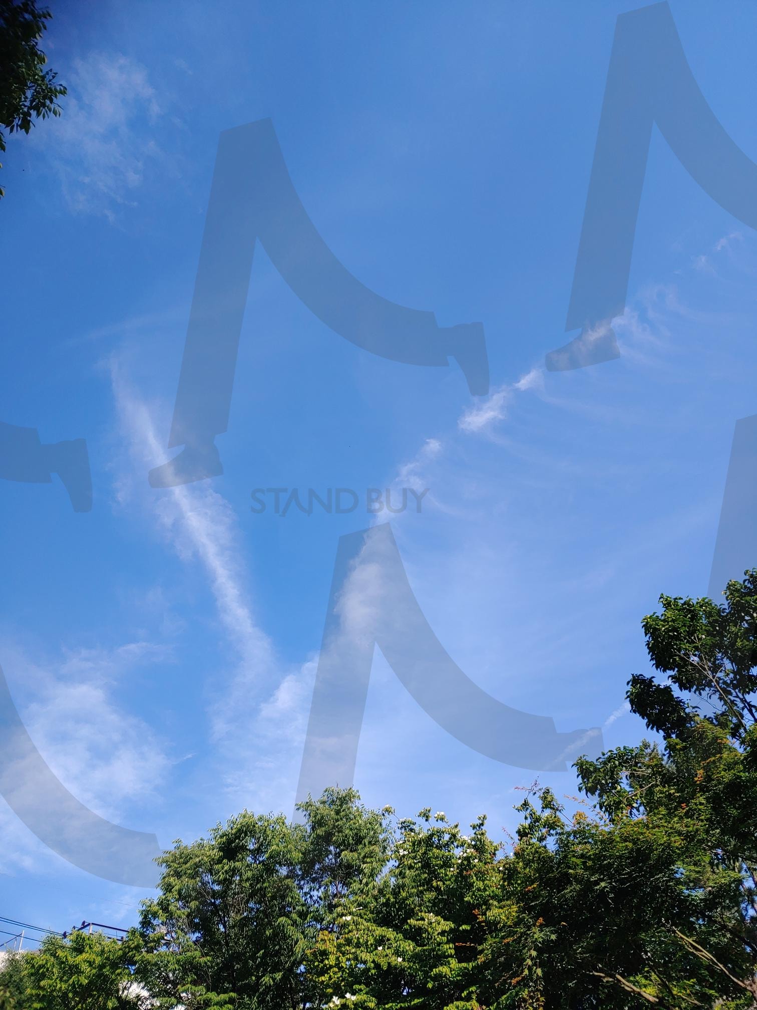 하늘을 날으는 승리의 구름새 | 구름새, 파란하늘, 승리의 구름새, 하얀구름, 승리의 구름 | 스탠바이 STANDBUY 디지털 콘텐츠