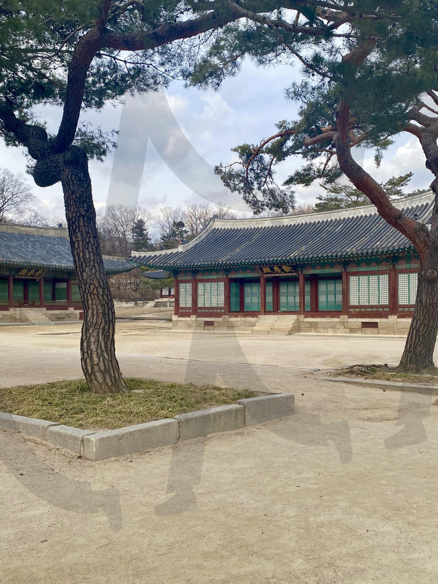 창경궁 | 서울, 종로구, 궁궐, 창경궁, 산책, 여행, 데이트, 데이트코스 | 스탠바이 STANDBUY 디지털 콘텐츠