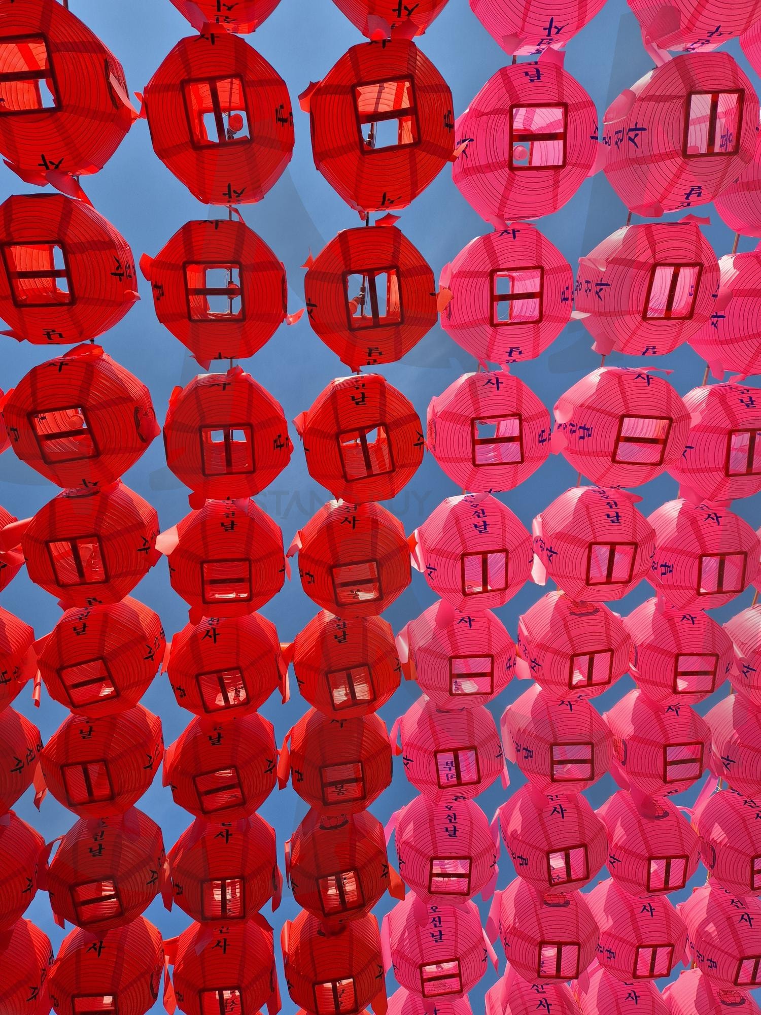 연등 | 연등, 절, 사찰, 연꽃등, 부처님오신날, 봄, 봉선사 | 스탠바이 STANDBUY 디지털 콘텐츠