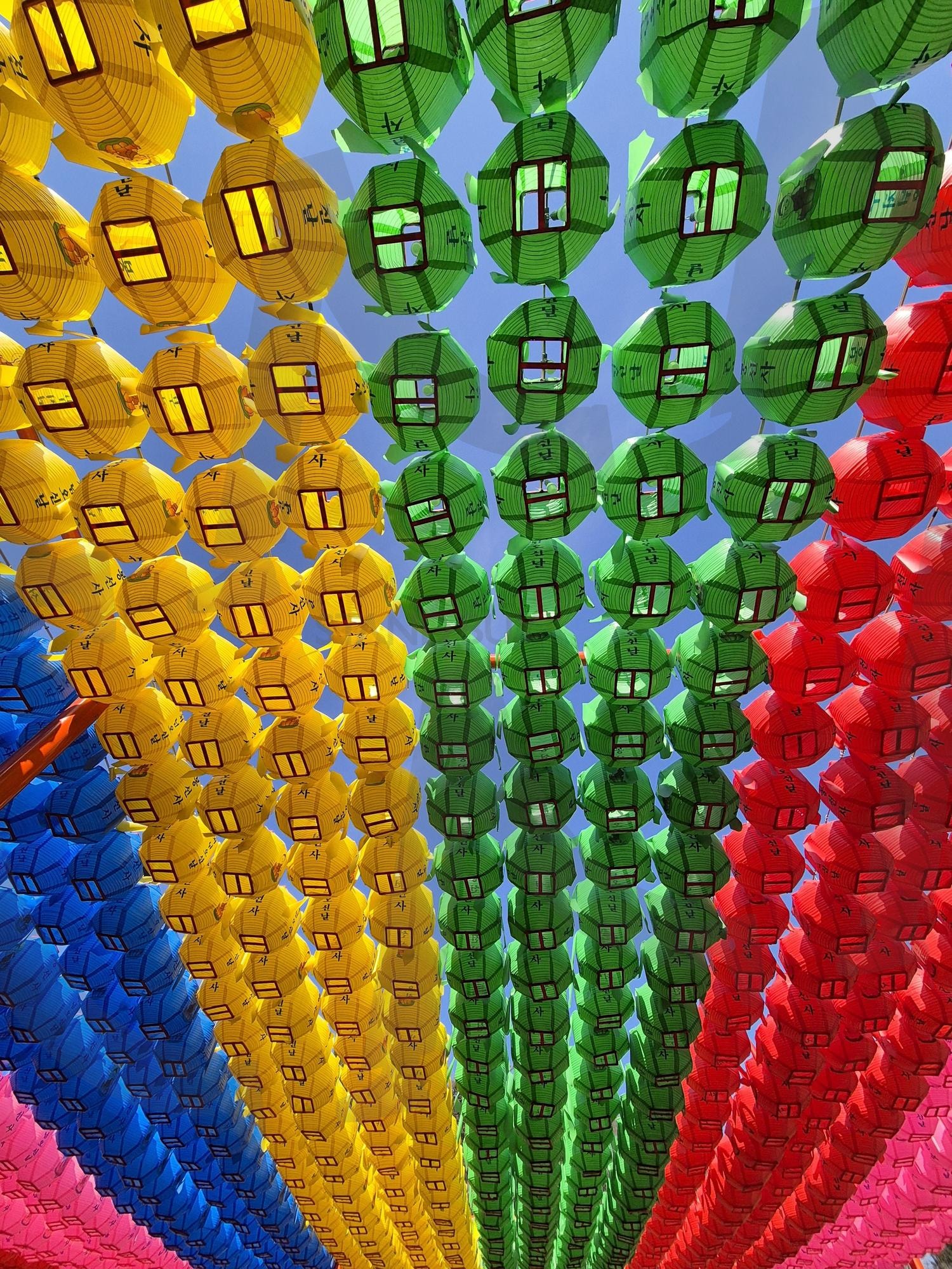 연등 | 연등, 사찰, 절, 연꽃들, 부처님오신날, 봉선사, 봄날, 봄나들이 | 스탠바이 STANDBUY 디지털 콘텐츠