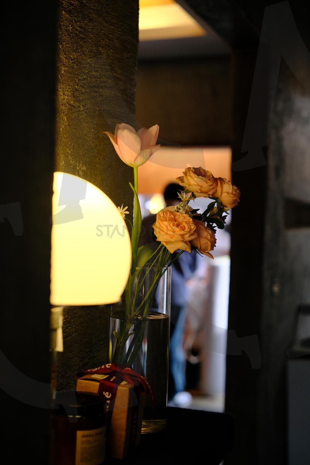 그 어느 장미보다 밝다 | 꽃, 장미, 카페, 인테리어, 감성 | 스탠바이 STANDBUY 디지털 콘텐츠