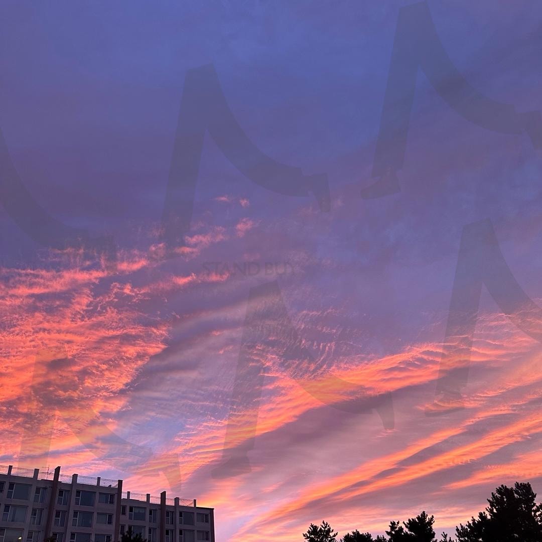 노을의 마지막 속삭임 | 노을풍경, 보랏빛하늘, 감성사진, 저녁노을, 하늘그림 | 스탠바이 STANDBUY 디지털 콘텐츠