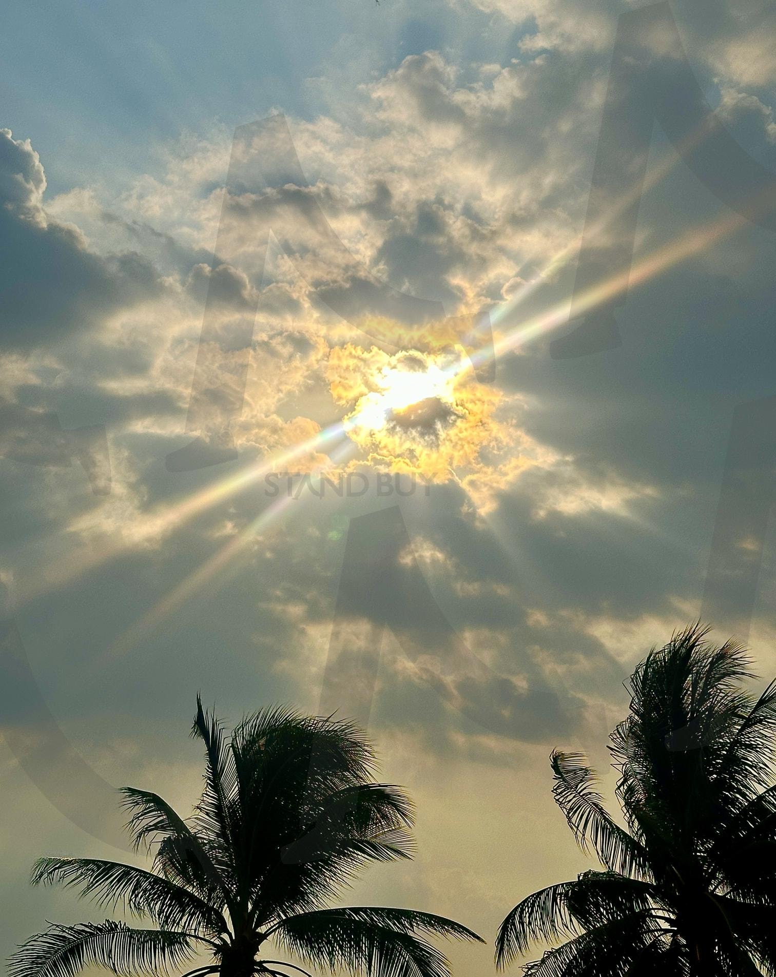 스며들다 | 푸꾸옥, 하늘, 구름, 태양, 야자수 | 스탠바이 STANDBUY 디지털 콘텐츠