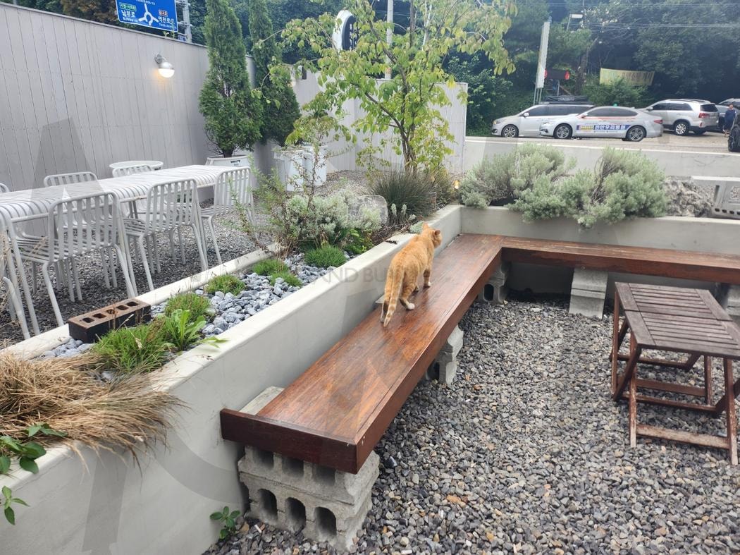 마음이 쉬어가는 곳 | 고양이, 카페, 야외, 힐링, 쉬어가는 중 | 스탠바이 STANDBUY 디지털 콘텐츠