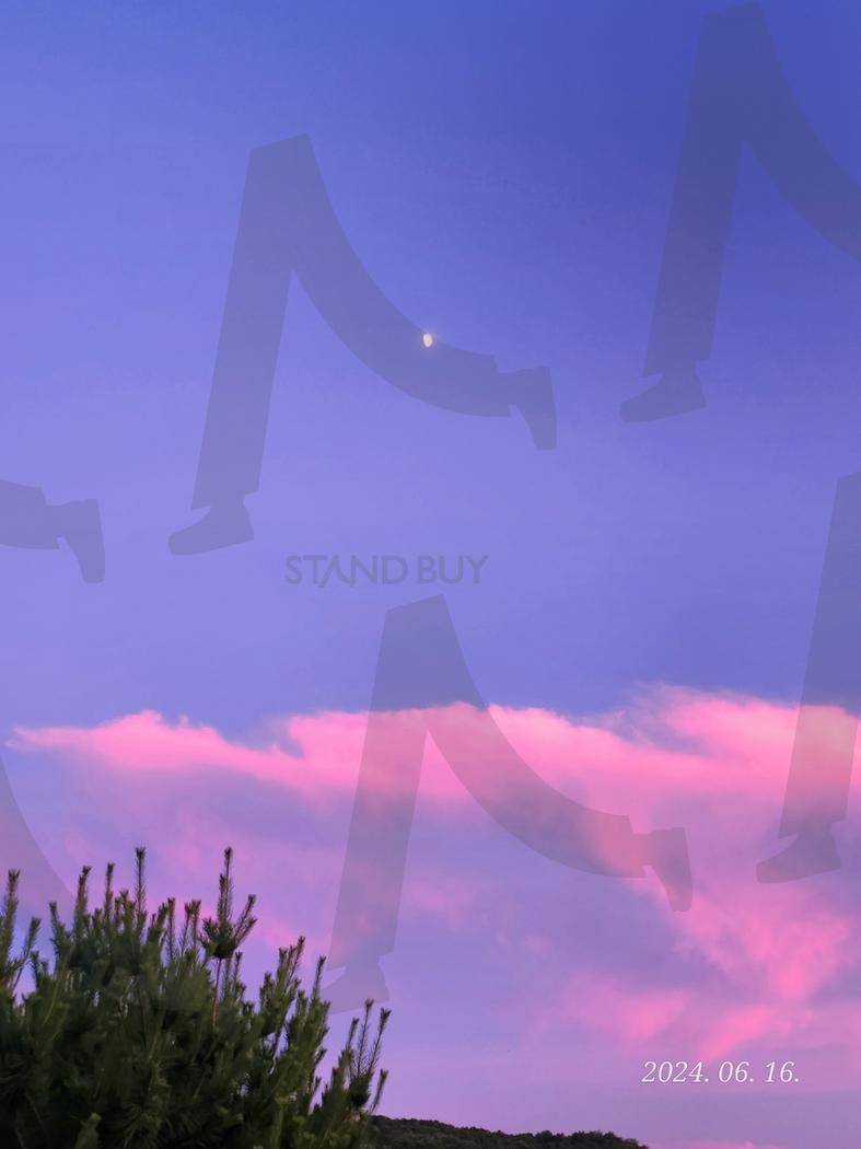 빛은 때때로 슬프다 | 하늘, 파란, 핑크, 나무, 작은 달 | 스탠바이 STANDBUY 디지털 콘텐츠