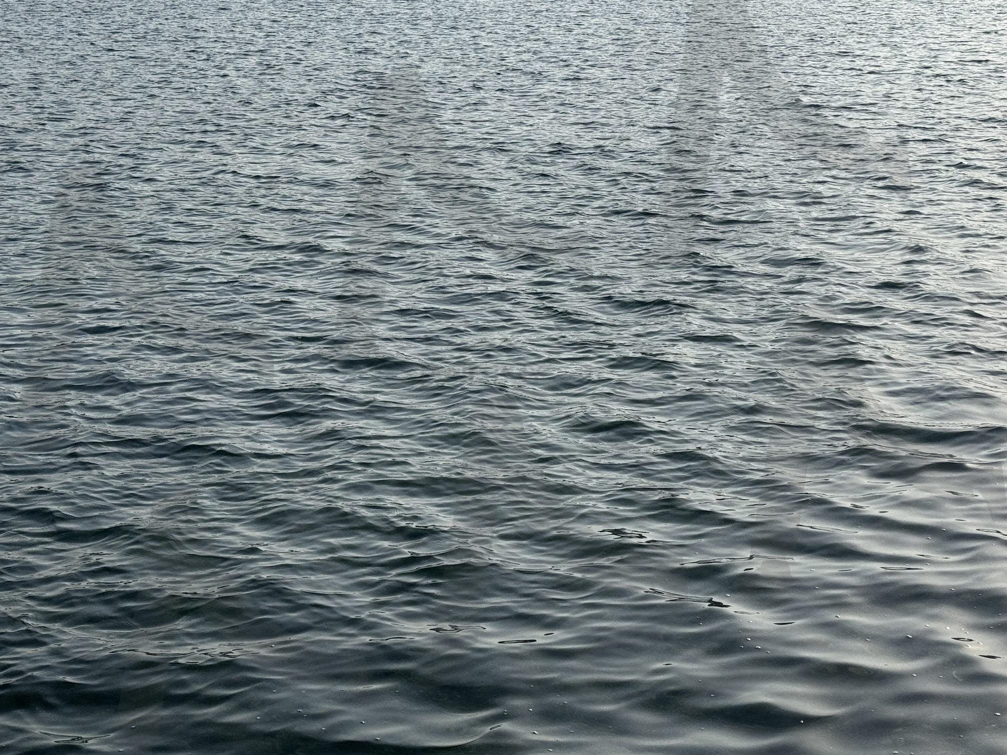 River park | 호수, river, park, 물, 자연 | 스탠바이 STANDBUY 디지털 콘텐츠