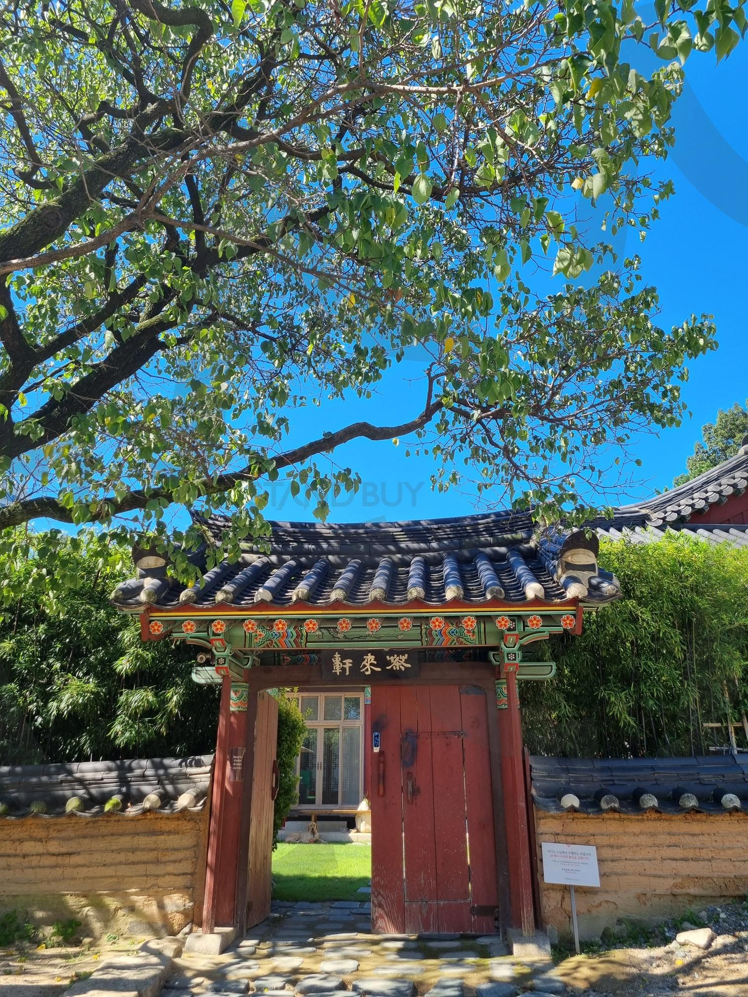 봉은사 | 봉은사, 강남, 삼성동, 절, 사찰 | 스탠바이 STANDBUY 디지털 콘텐츠