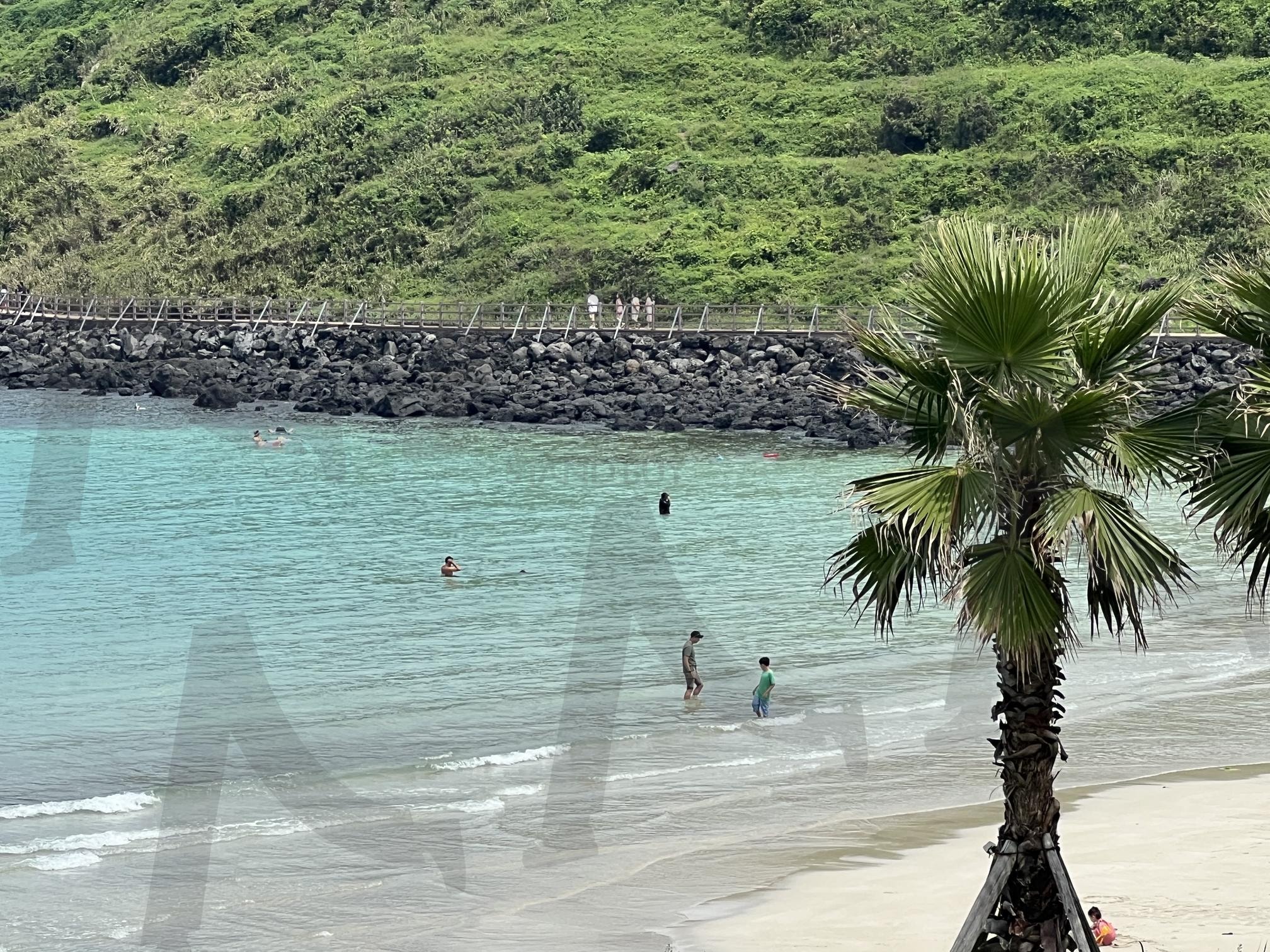 제주 해변에서 | 제주도, 코난비치, 바다, 애월, 해변 | 스탠바이 STANDBUY 디지털 콘텐츠