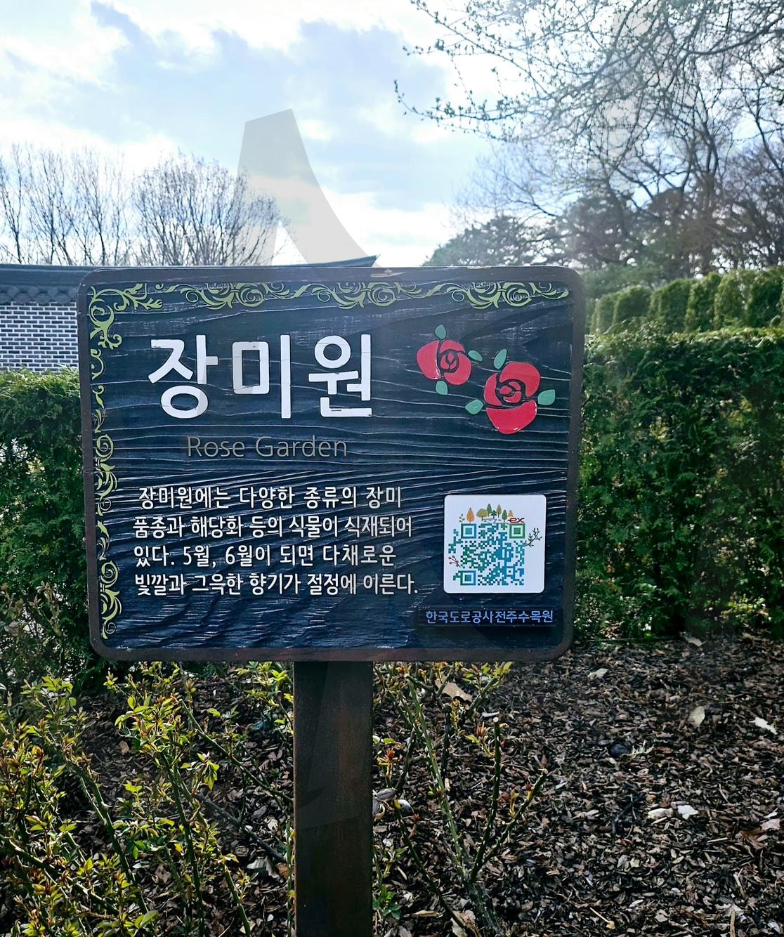 전주 수목원 | 장미원, 전주, 수목원, 봄, 개나리, 벚꽃 | 스탠바이 STANDBUY 디지털 콘텐츠