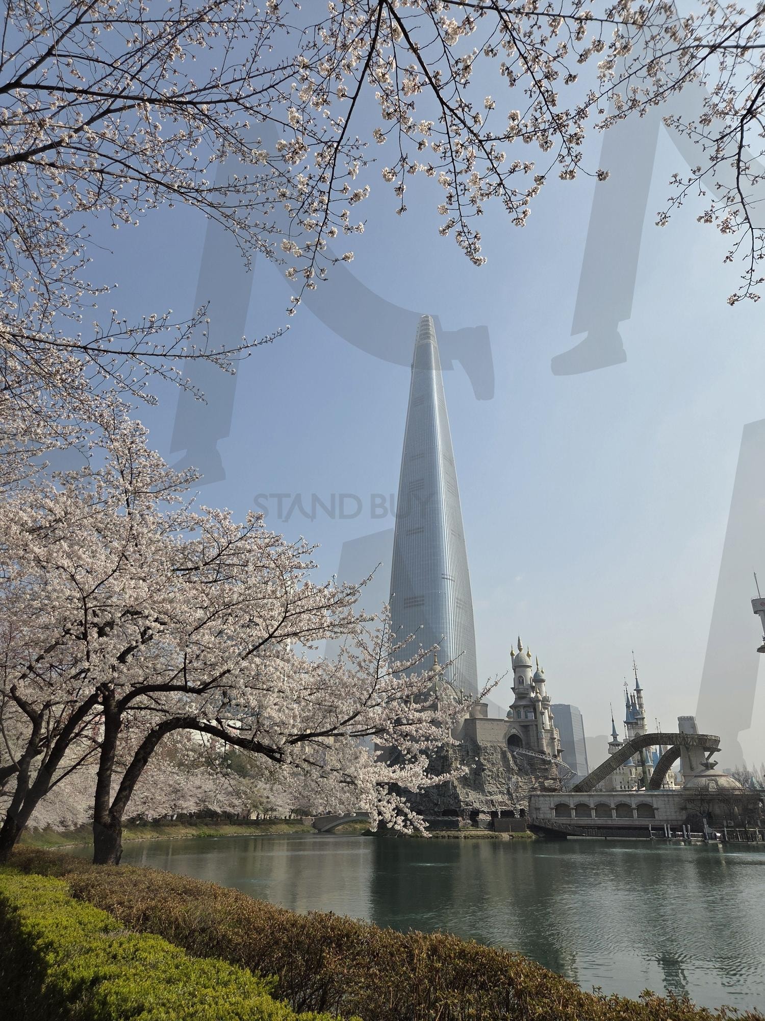 롯데타워 | 롯데타워, 벚꽃, 잠실, 석촌호수, 롯데월드 | 스탠바이 STANDBUY 디지털 콘텐츠